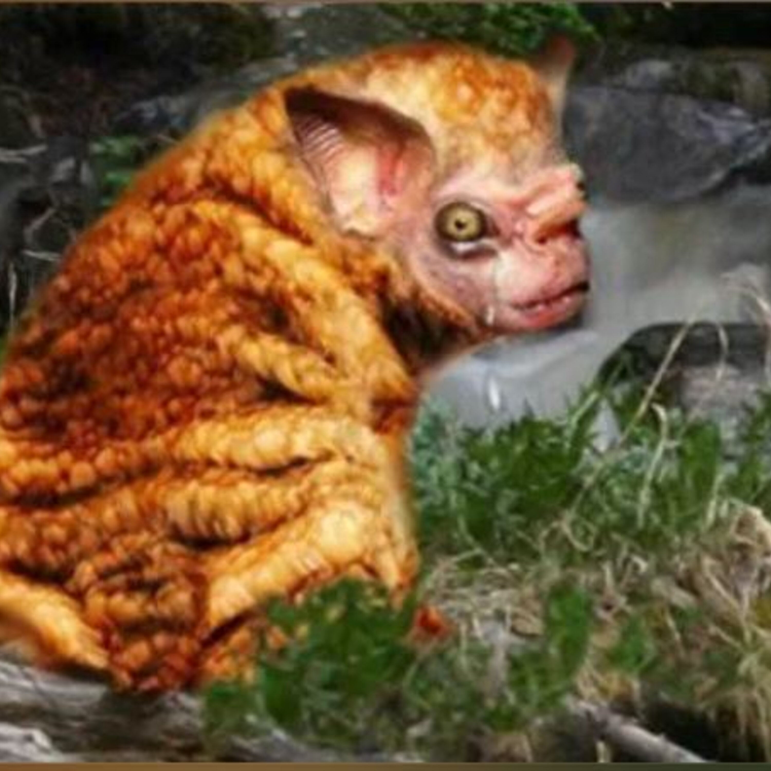 BEHOLD the SQUONK - WTF! Edition