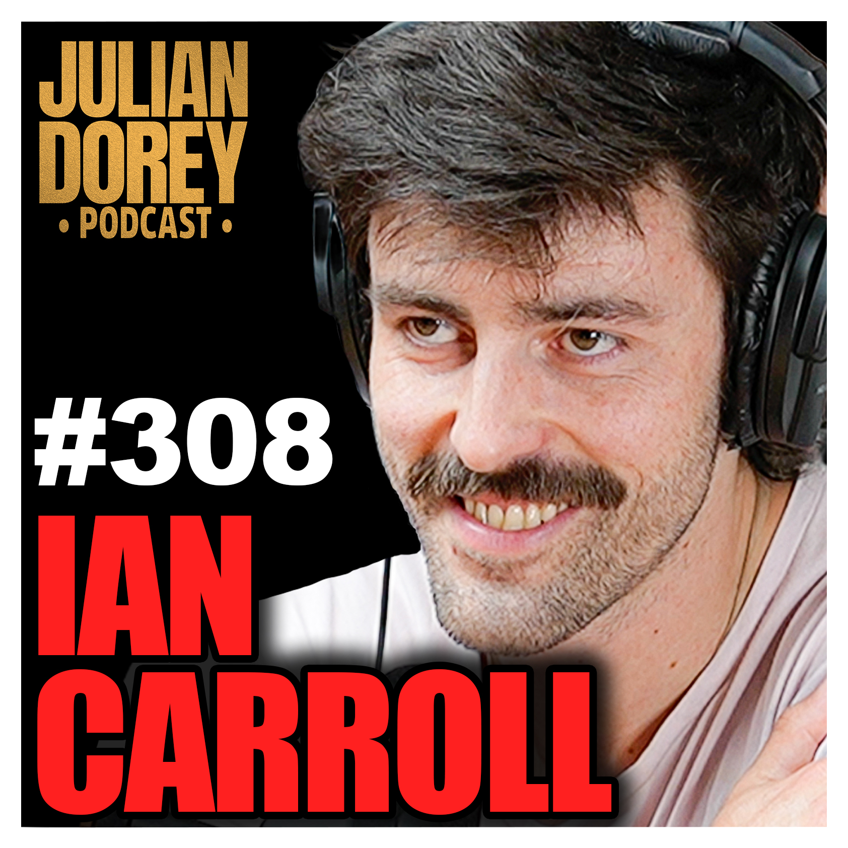 #308 - Epstein, Secrets of the Elite, Israel & the Holy Land Prophecy | Ian Carroll