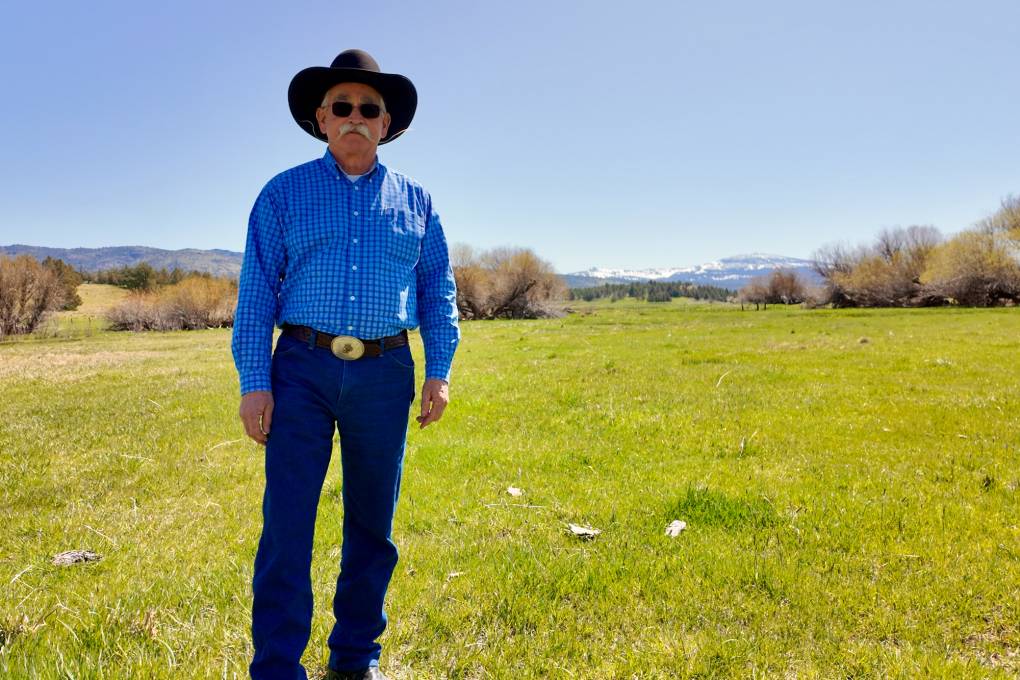 California's Biggest Voting District Faces Seismic Change if Prop. 50 Passes