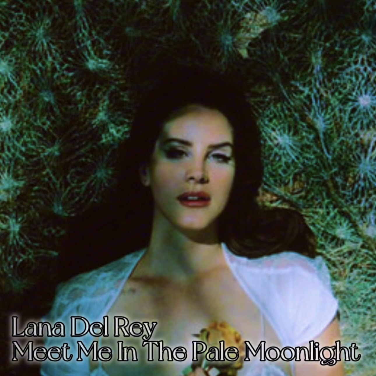 The Pulse Of The Planet