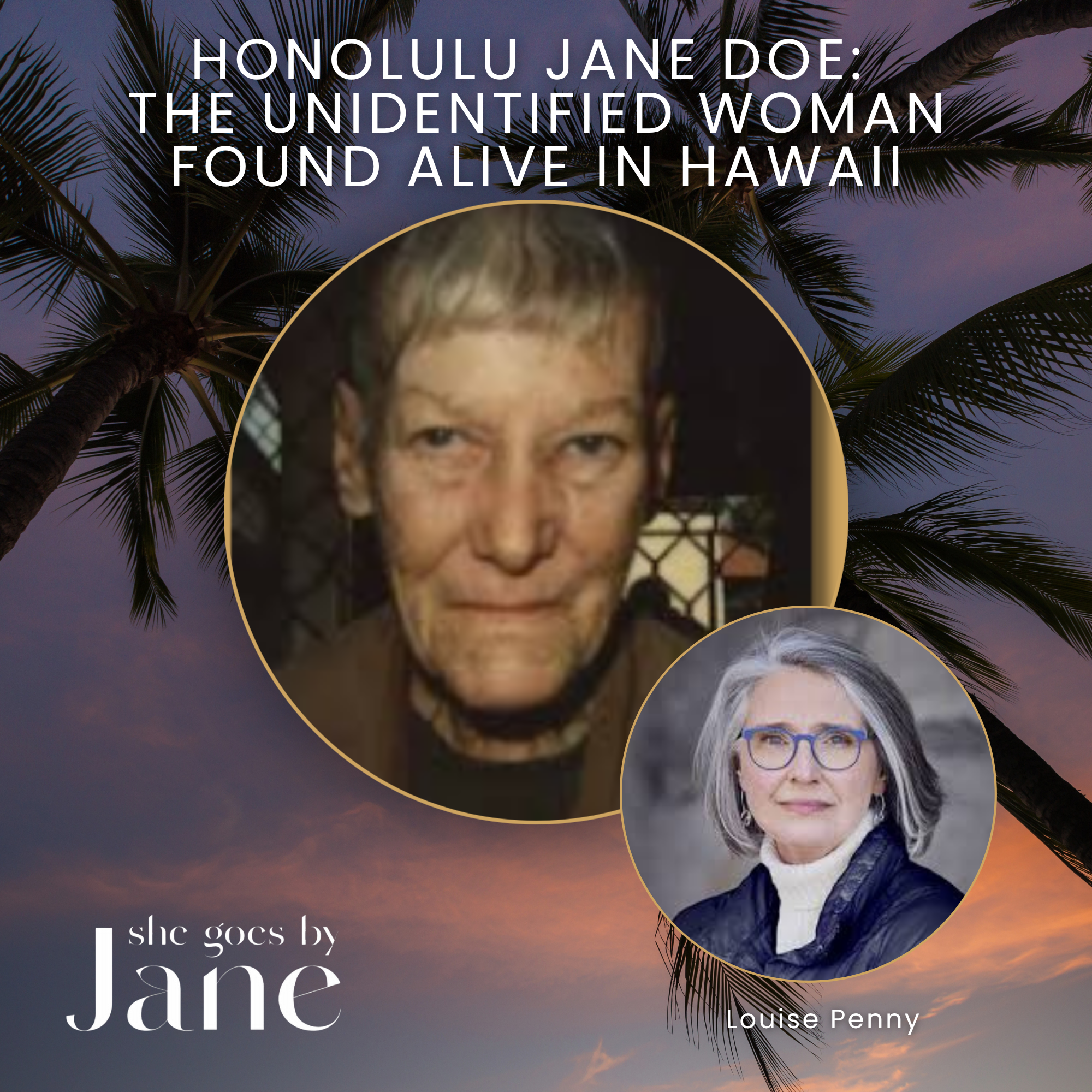 4: Honolulu Jane Doe: The Unidentified Woman Found Alive in Hawaii | Unsolved Case with guest reader Louise Penny episode artwork