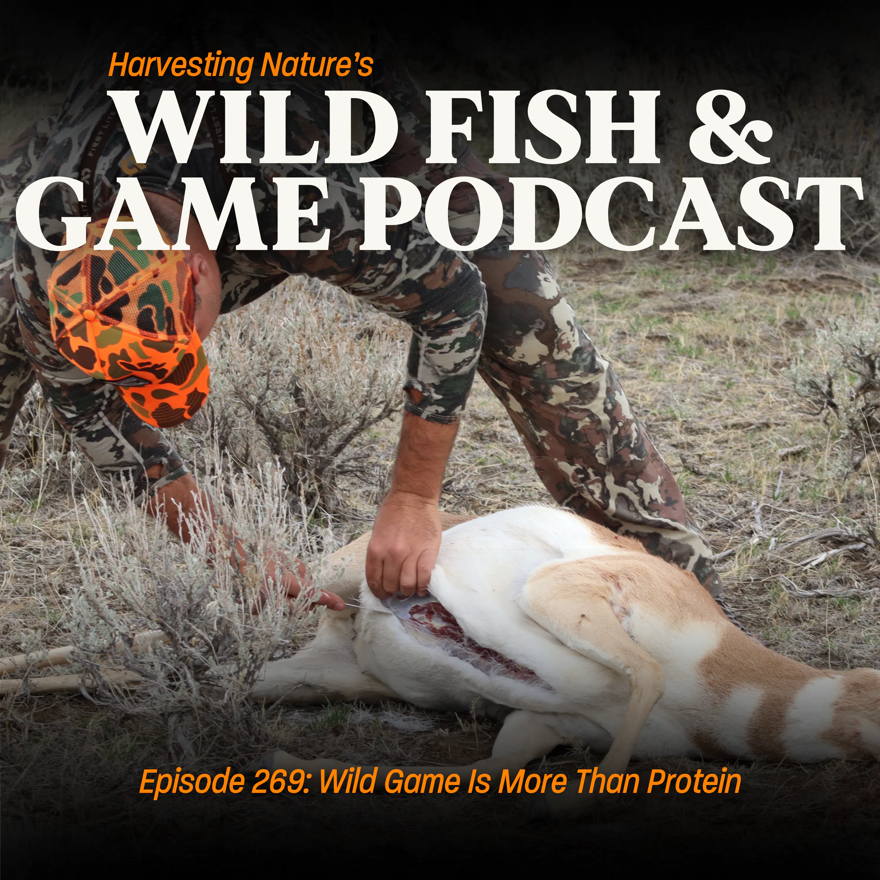 Episode 269: Wild Game Is More Than Protein episode artwork