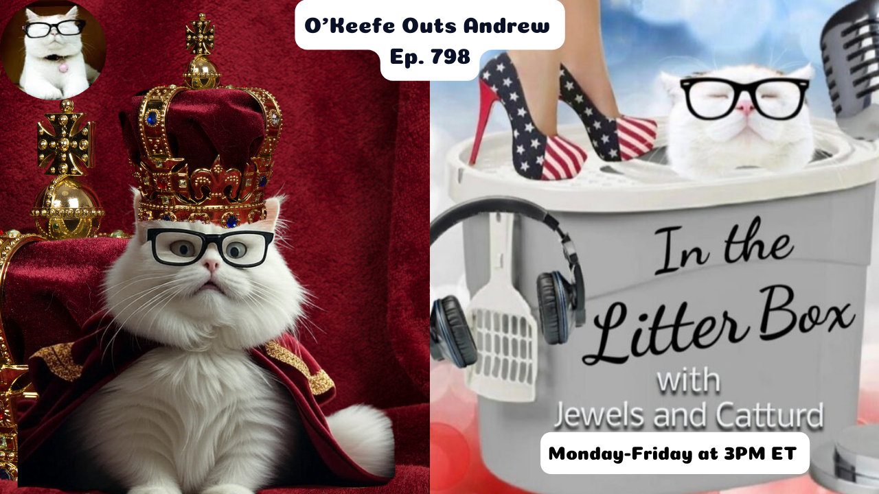 O'Keefe Outs Andrew | In the Litter Box w/ Jewels & Catturd – Ep. 798 – 5/8/2025