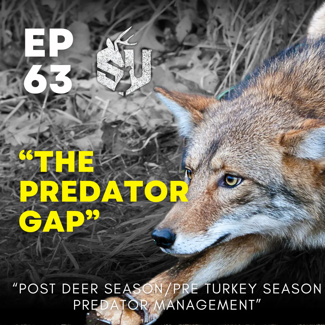 EP 63: "The Predator Gap" Post Deer/Pre Turkey Season Predator Management episode artwork