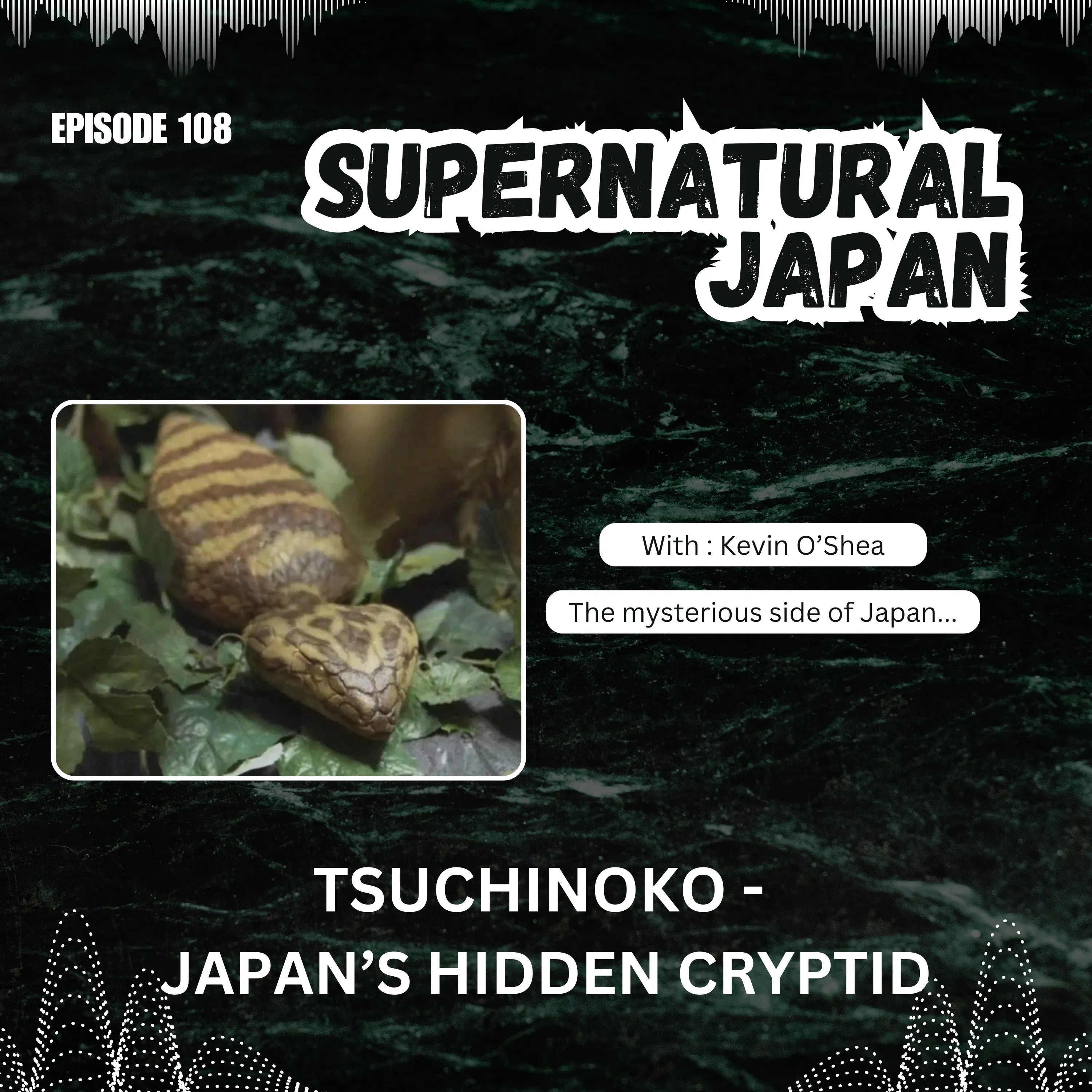 Tsuchinoko — Japan’s Hidden Cryptid episode artwork