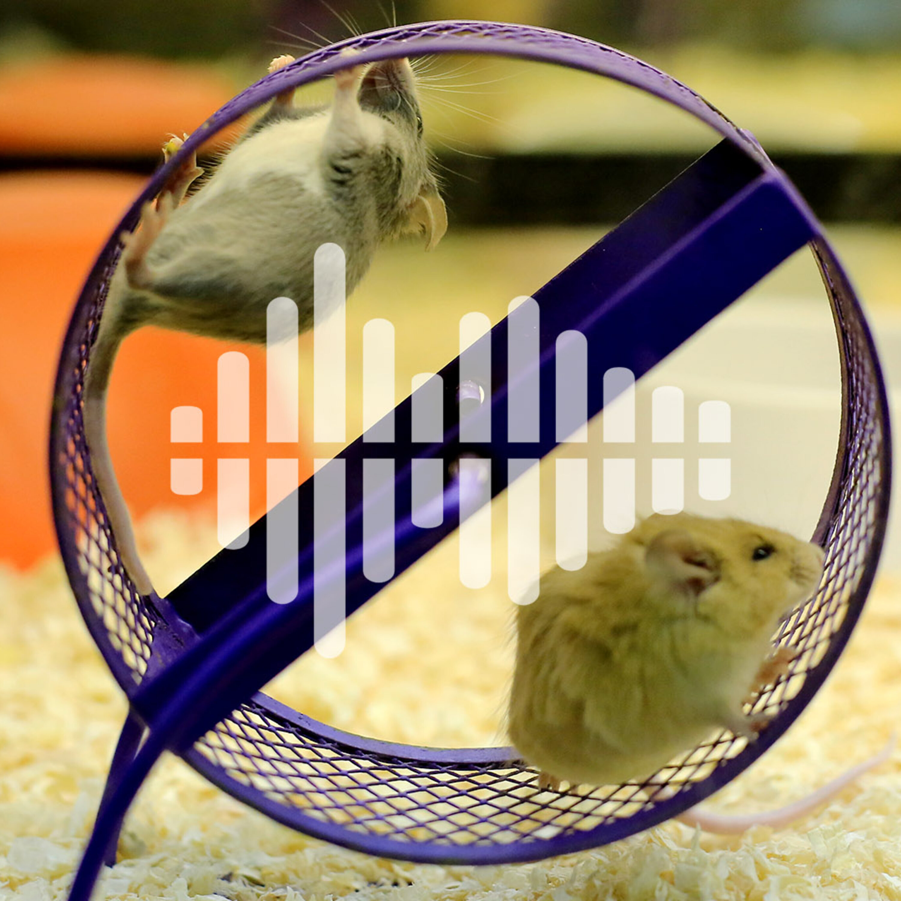 A fast moving megatrial for coronavirus treatments, and transferring the benefits of exercise by transferring blood