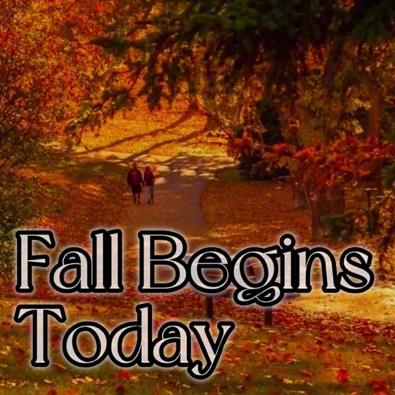Fall Begins Today