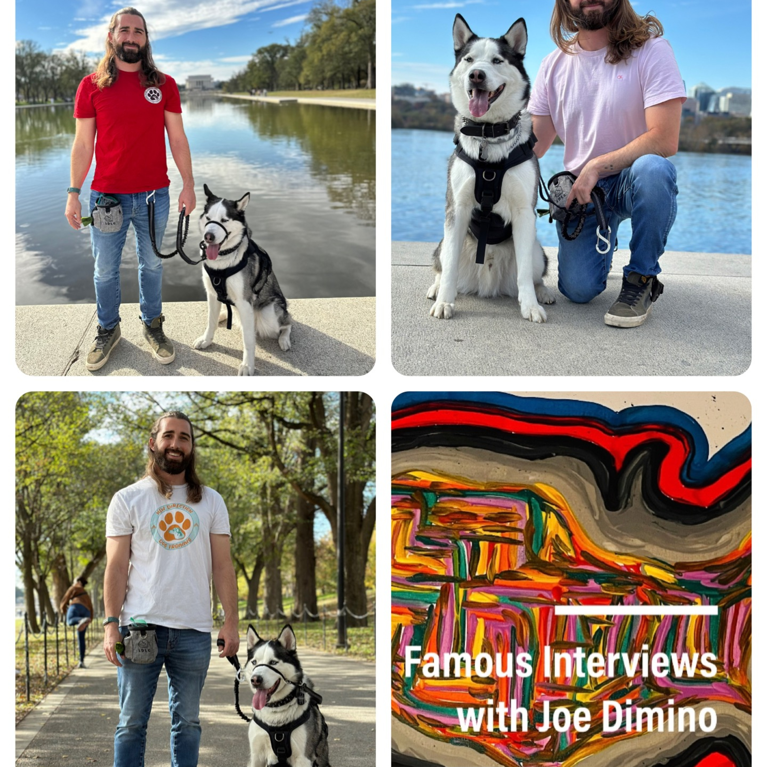 Dog Training Expert Brady Foulk episode artwork