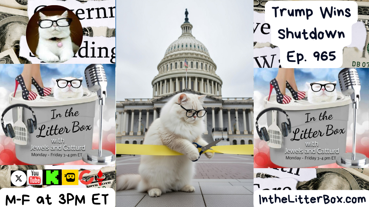 Trump Wins Shutdown | In the Litter Box w/ Jewels Jones & Catturd – Ep. 965 – 2/5/2026