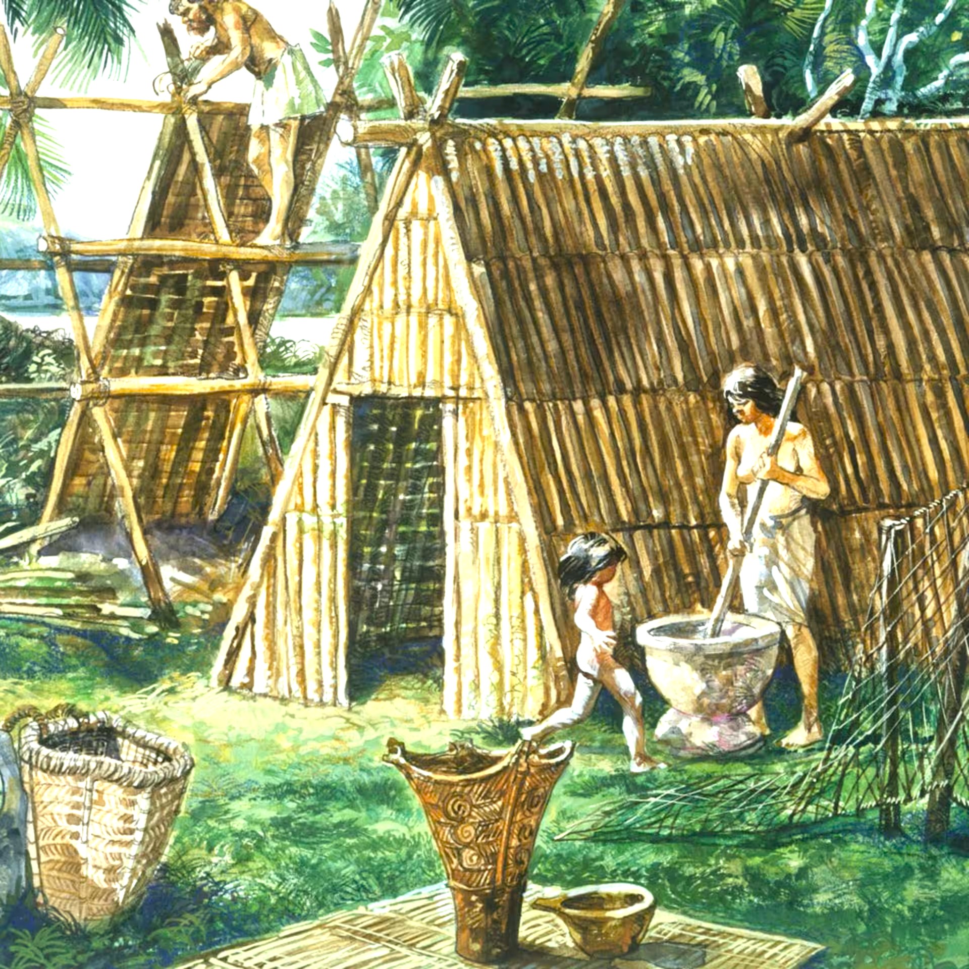 Révolution Néolithique: l'Invention de l'Agriculture (Histoire pour s'endormir) episode artwork