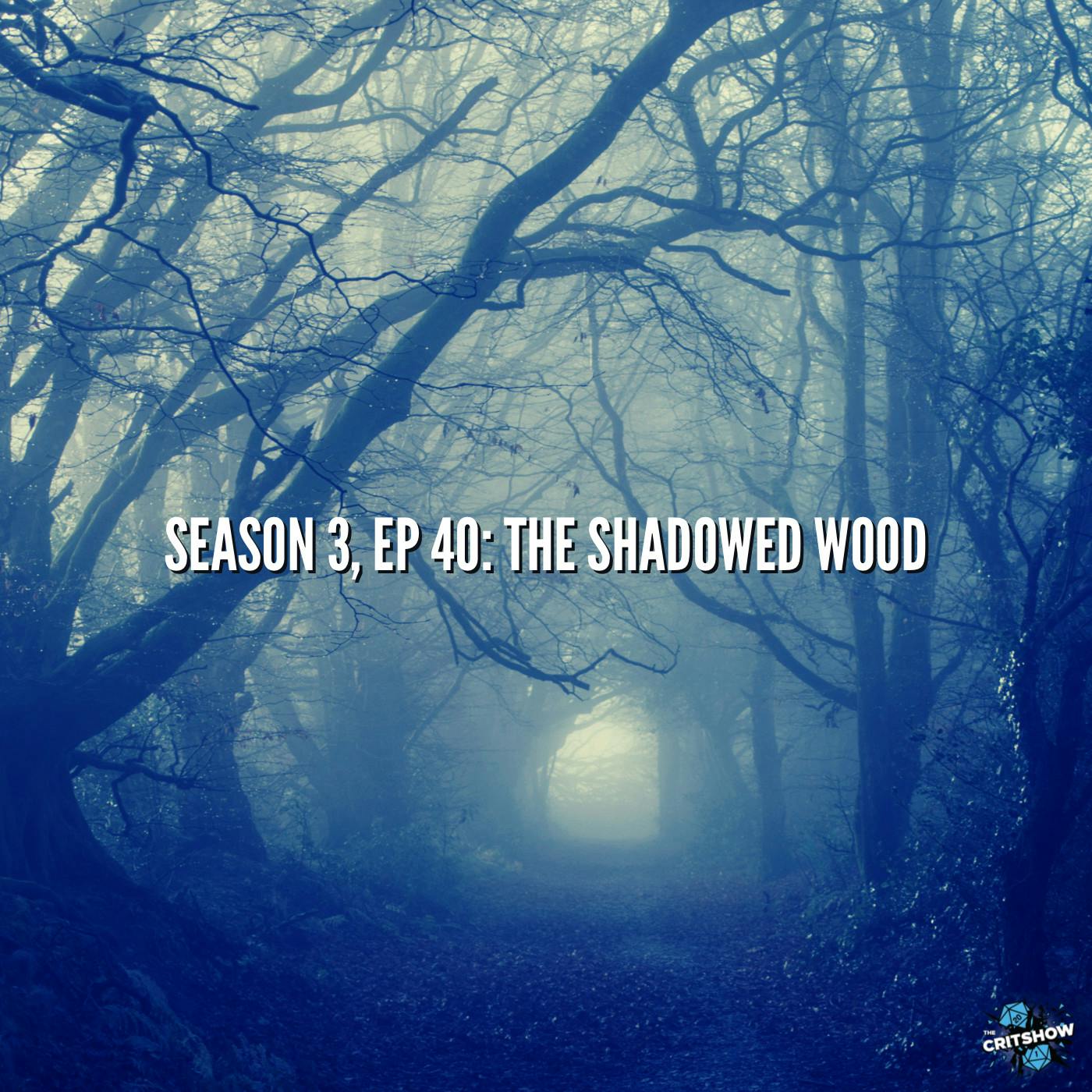 The Shadowed Wood (S3, E40)