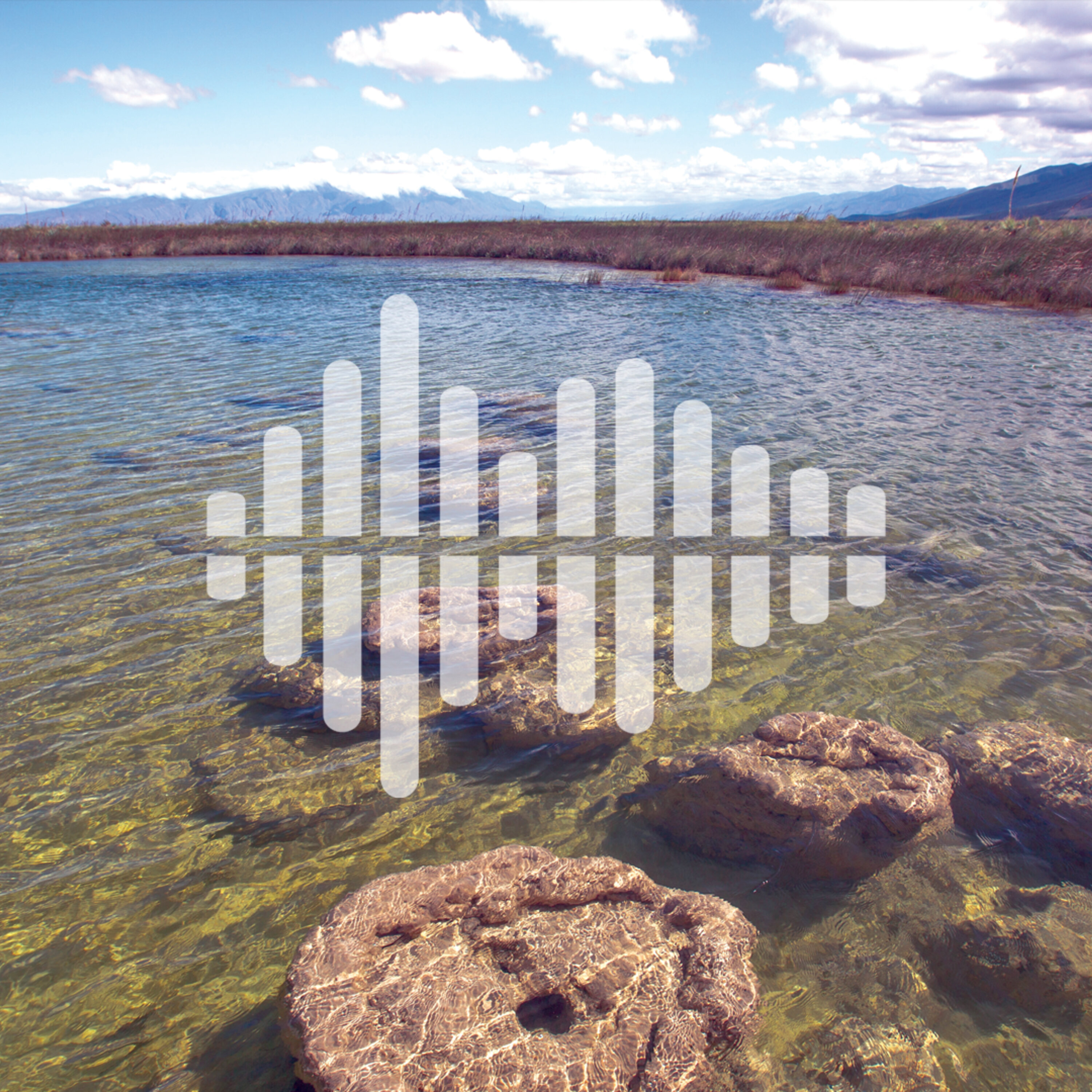 An oasis of biodiversity a Mexican desert, and making sound from heat