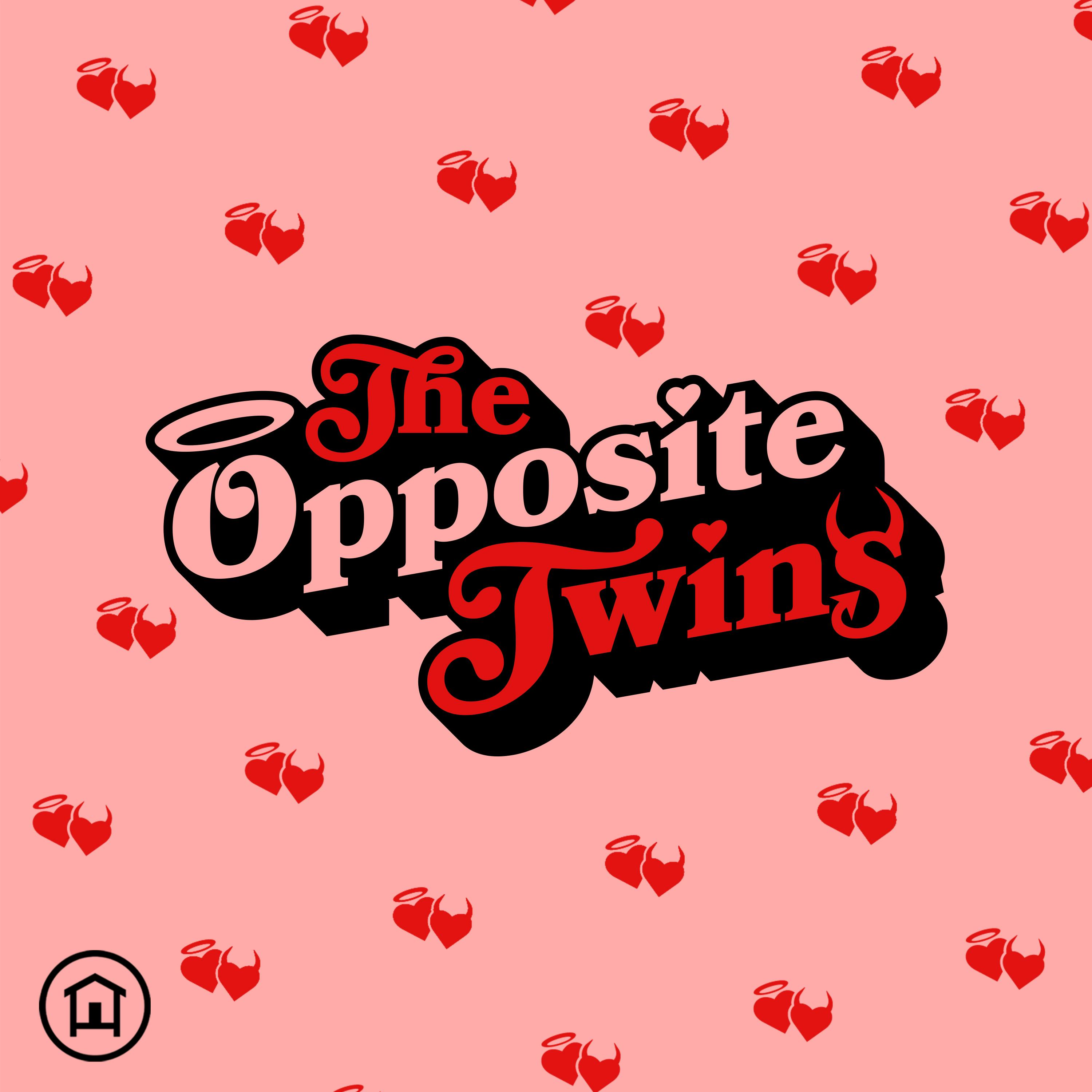 Roasting my Twins Style | The Opposite Twins