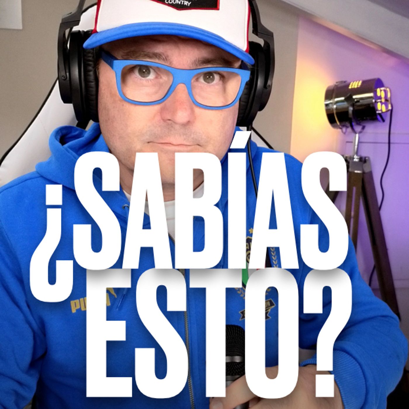 ¿Qué ocurre si metes 200 hormigas en un tarro de cristal?
