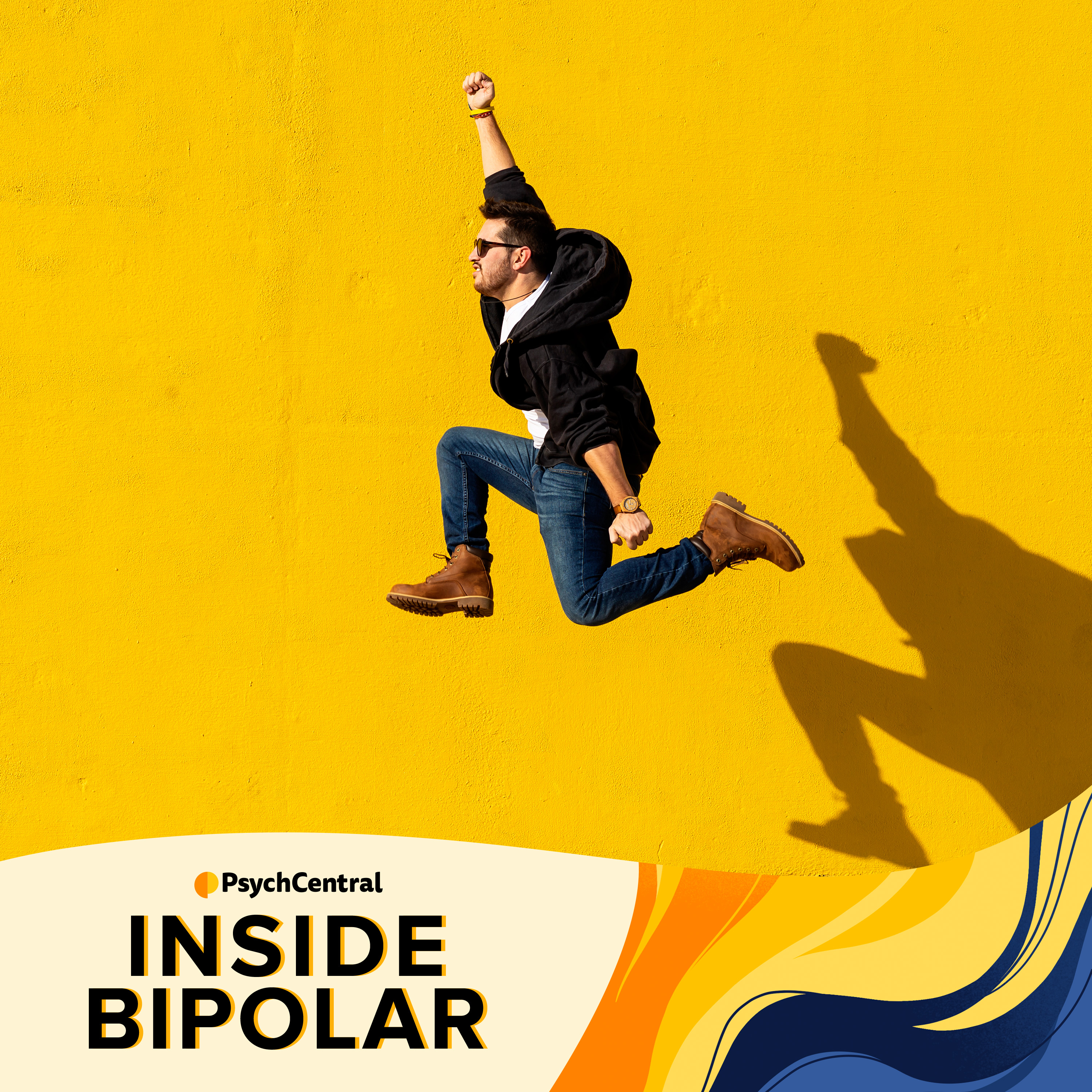 Inside Bipolar
