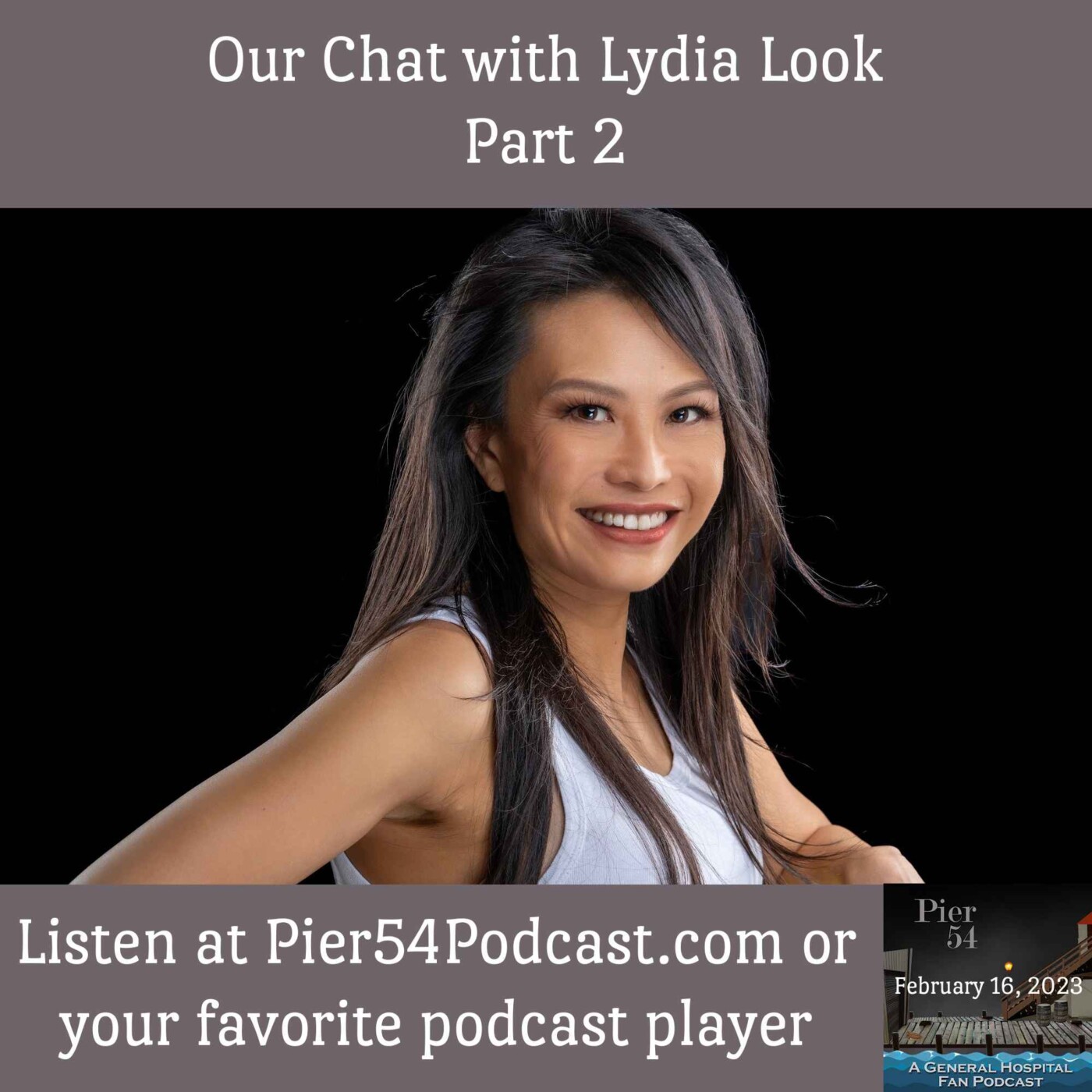 Episode 414: The Port Charles 411 - Our Chat with Lydia Look Part 2 episode artwork