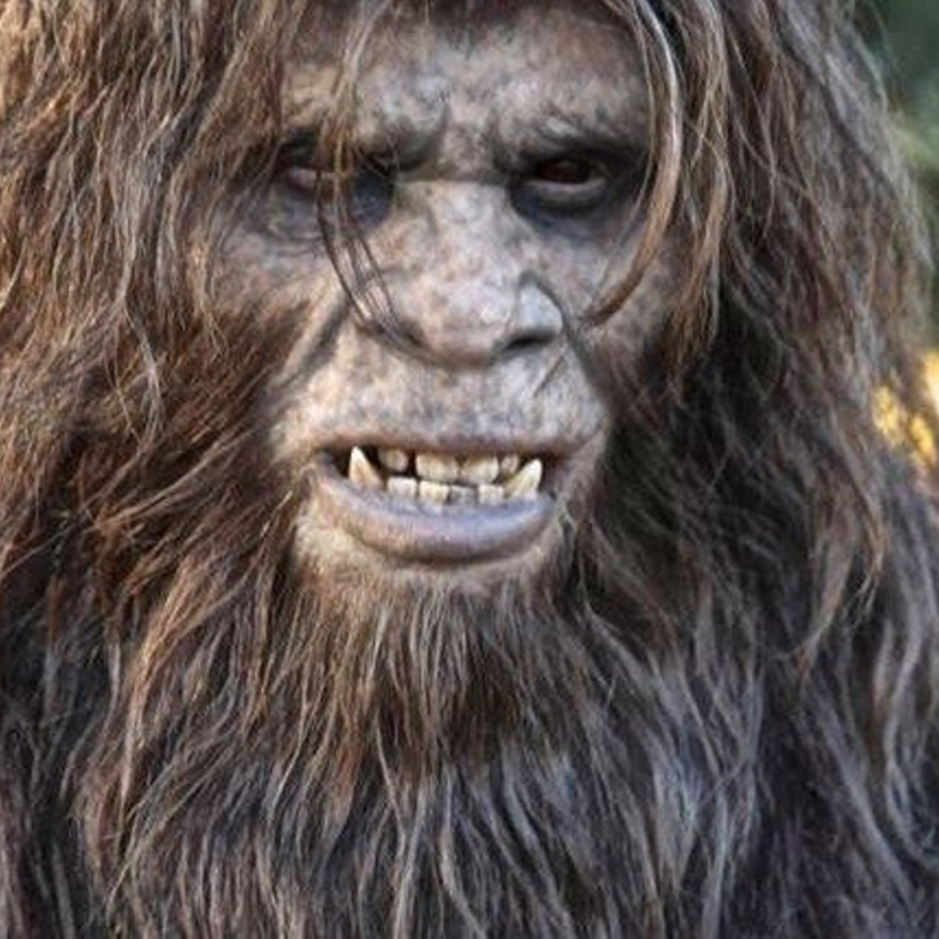 CiTonga & The Skunk Ape Experiments
