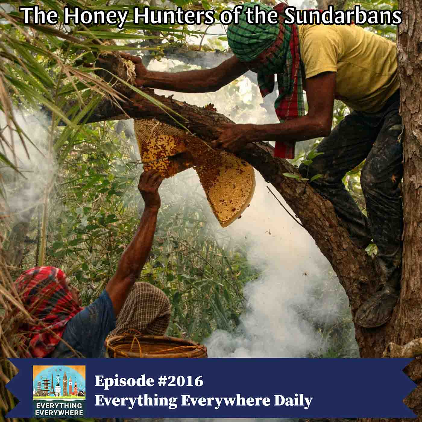 The Honey Hunters of the Sundarbans