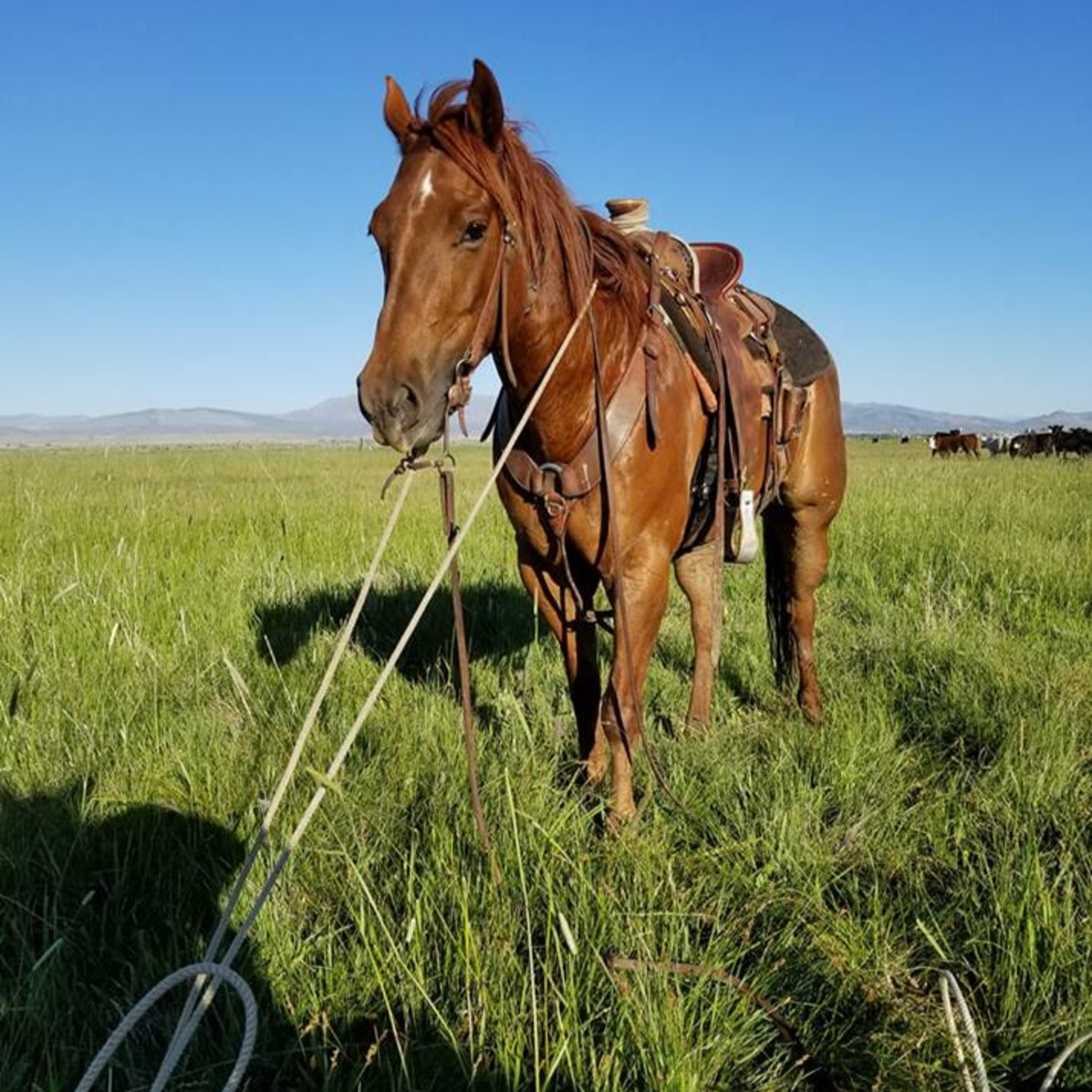 Maggie tries out her sea legs