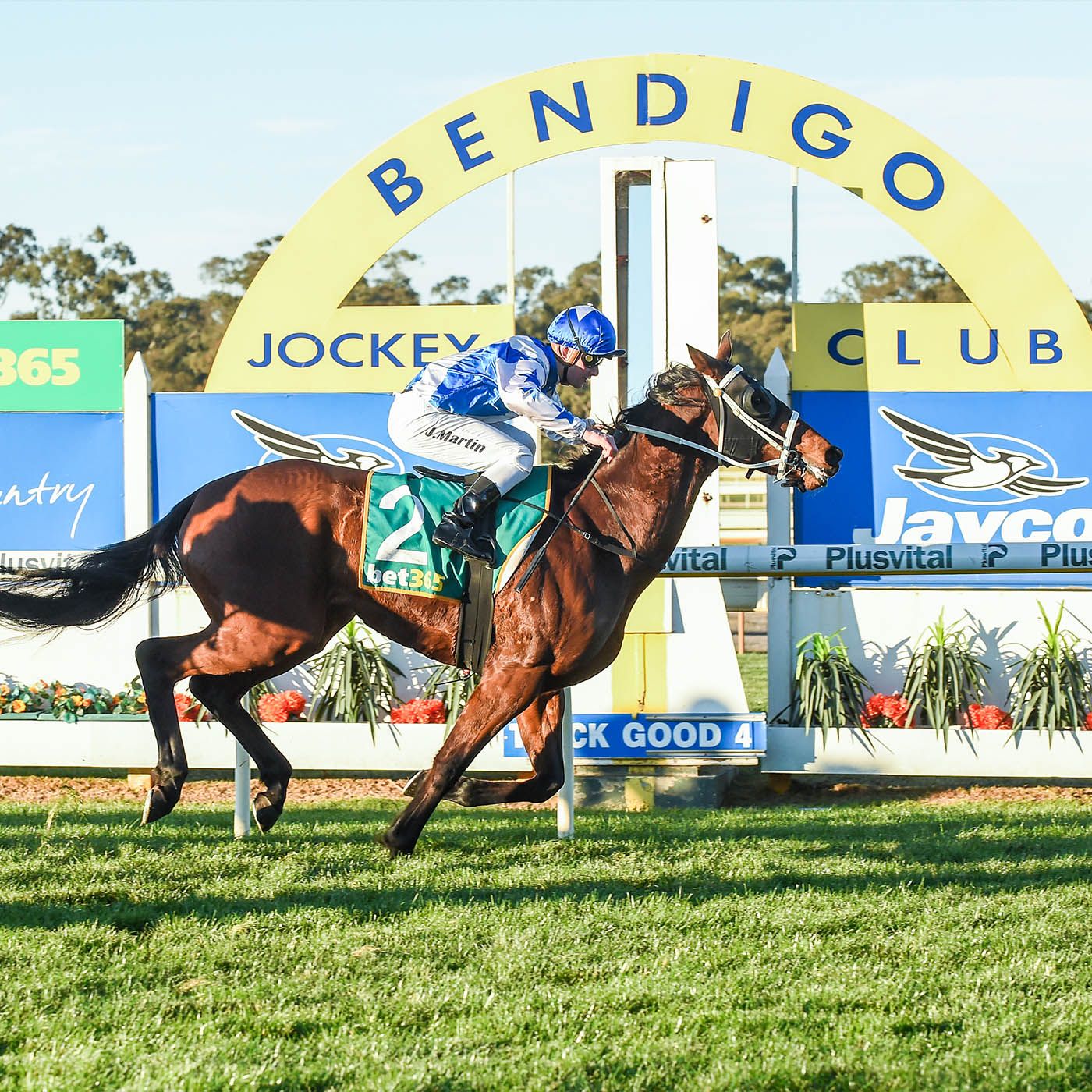 Bendigo Jockey Club Aaron Hearps chats to Andrew Kuuse re Sunday Racing & other Bendigo RC news episode artwork