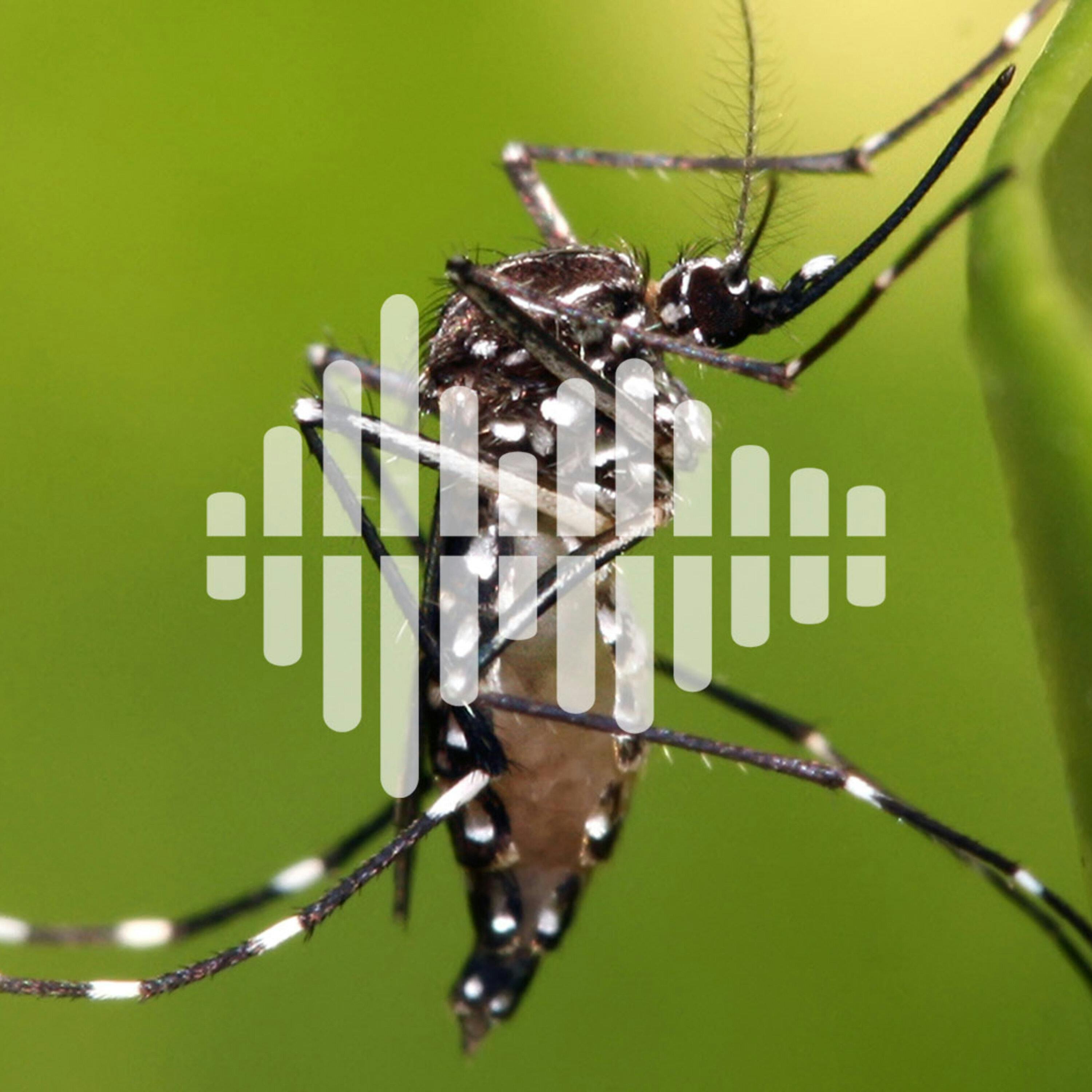 Coronavirus spreads financial turmoil to universities, and a drone that fights mosquito-borne illnesses