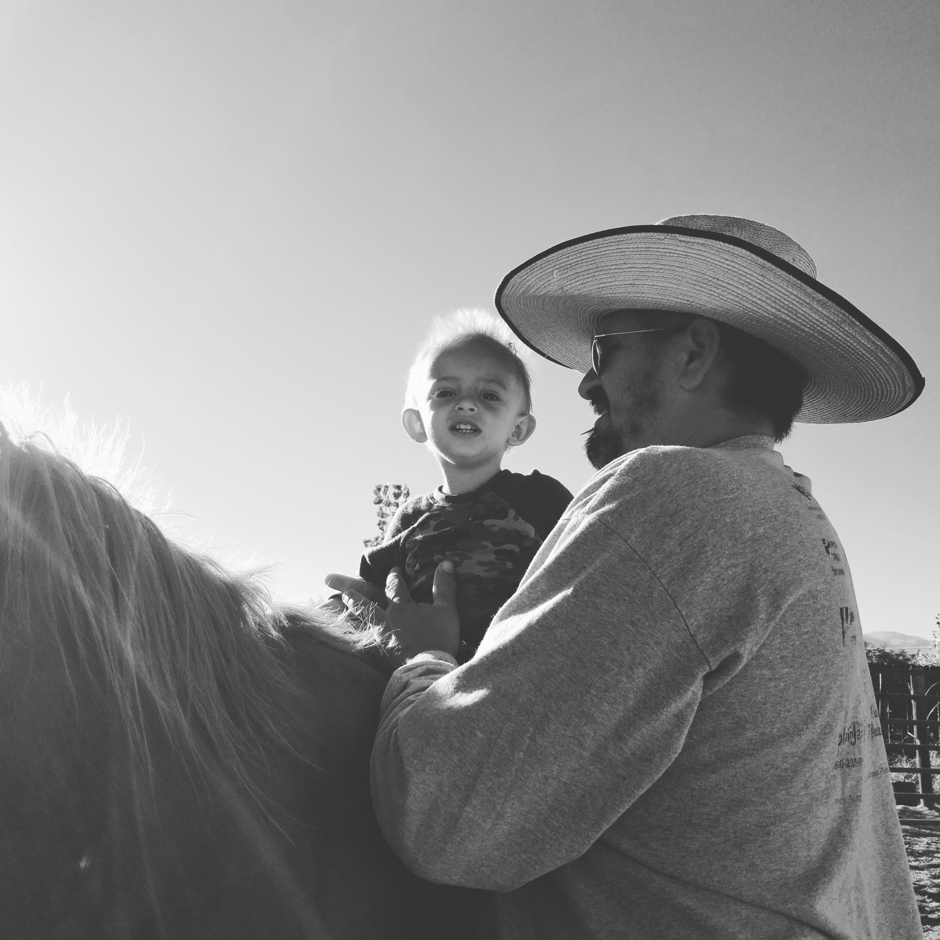 Cows, Hollywood and a new team roping association