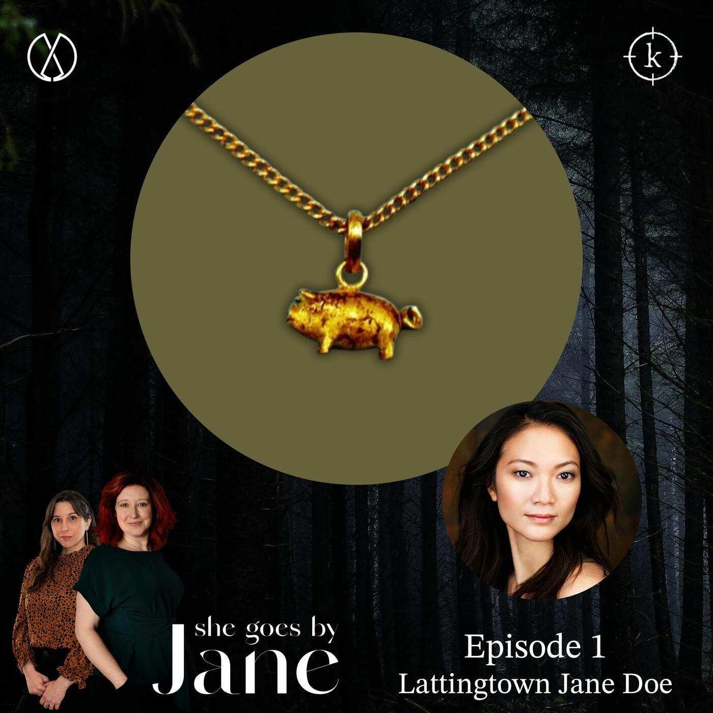 1: Episode 1: Lattingtown Jane Doe with guest reader Erica Wong episode artwork
