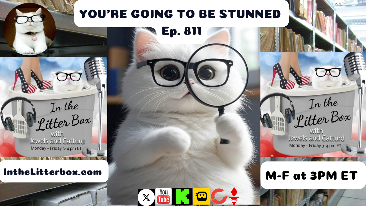 YOU'RE GOING TO BE STUNNED | In the Litter Box w/ Jewels & Catturd – Ep. 811 – 5/30/2025