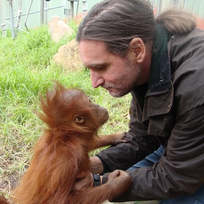 Updated Insights on Orangutan Conservation w/Leif Cox