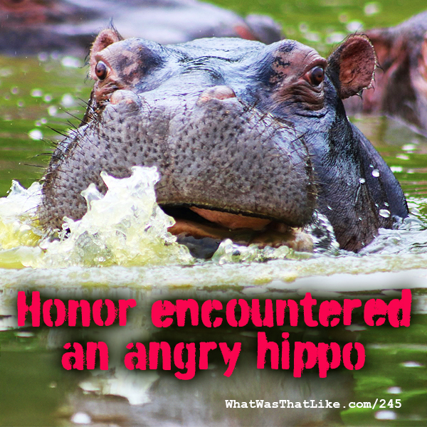 245: Honor encountered an angry hippo