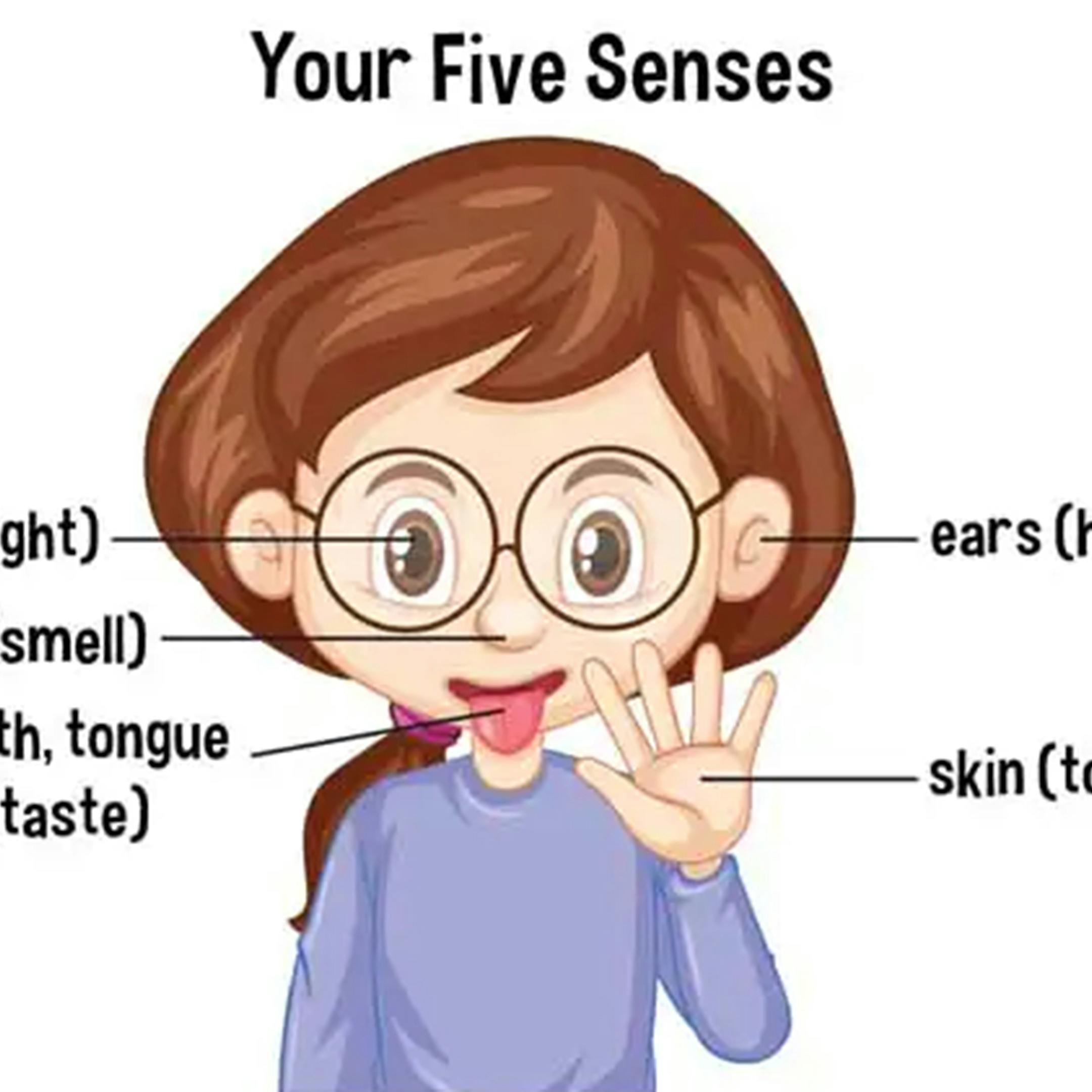 The Raw Material for Awakening The Raw Material for Awakening