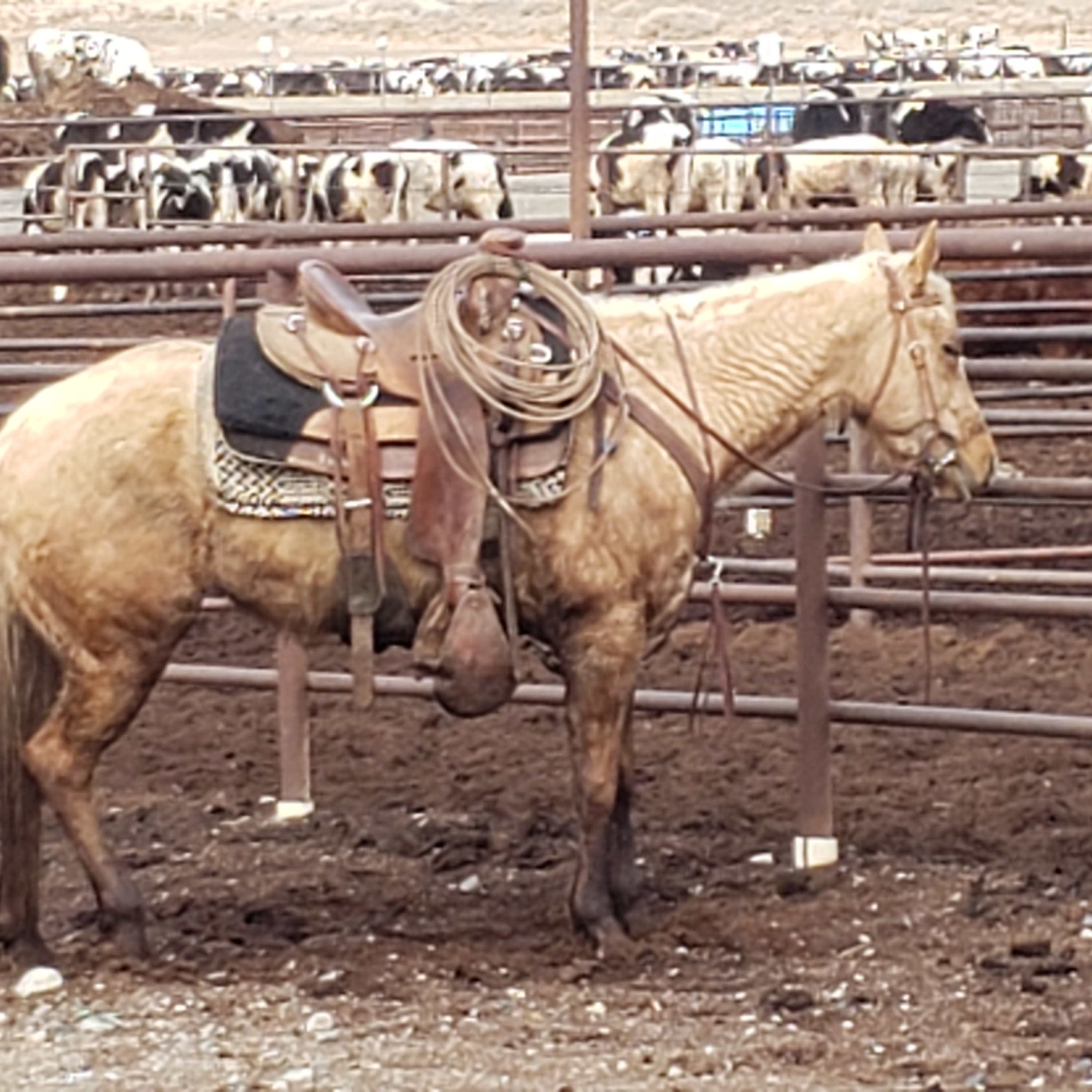 Oh the people you'll meet