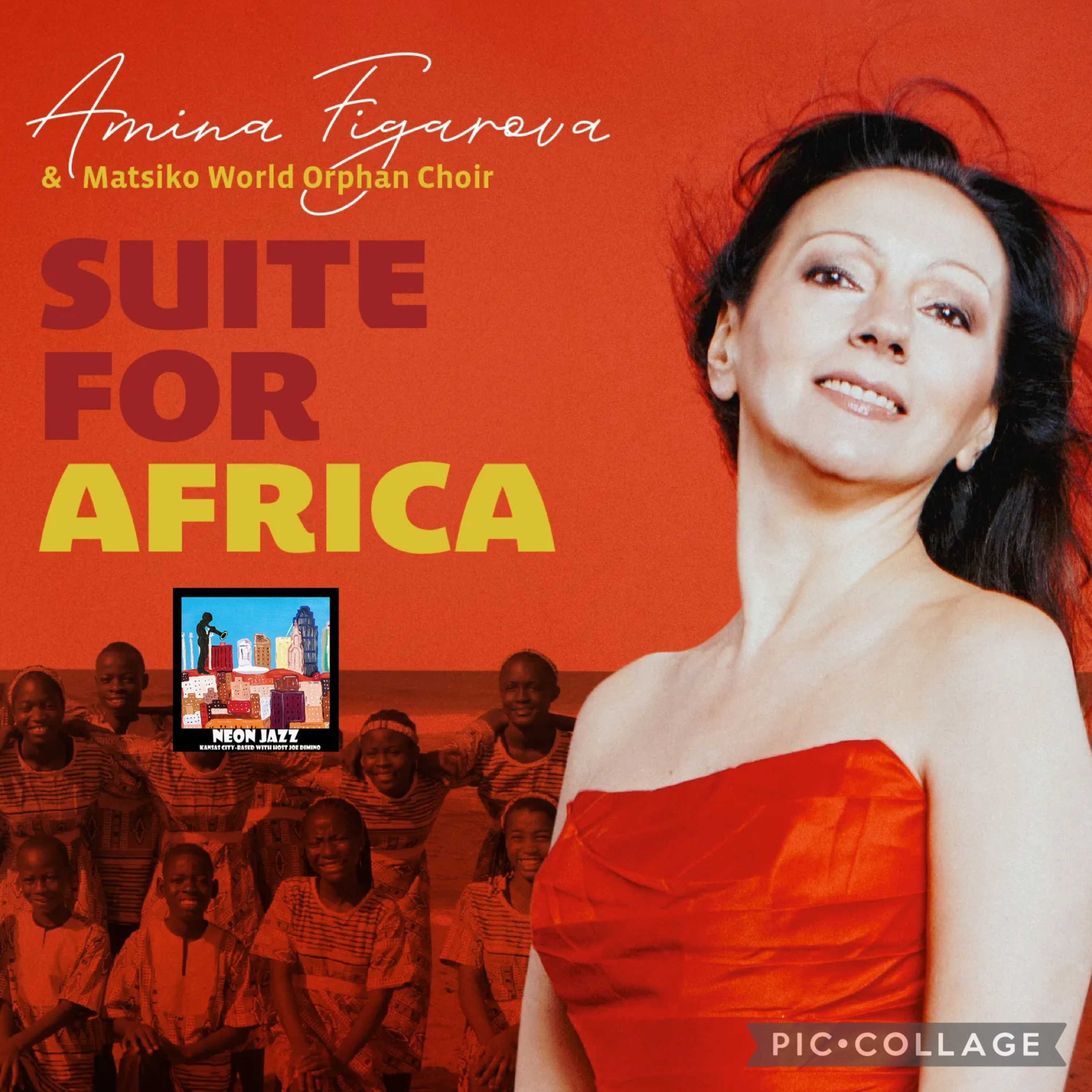 Jazz Pianist & Composer Amina Figarova on the 2024 CD Suite for Africa
