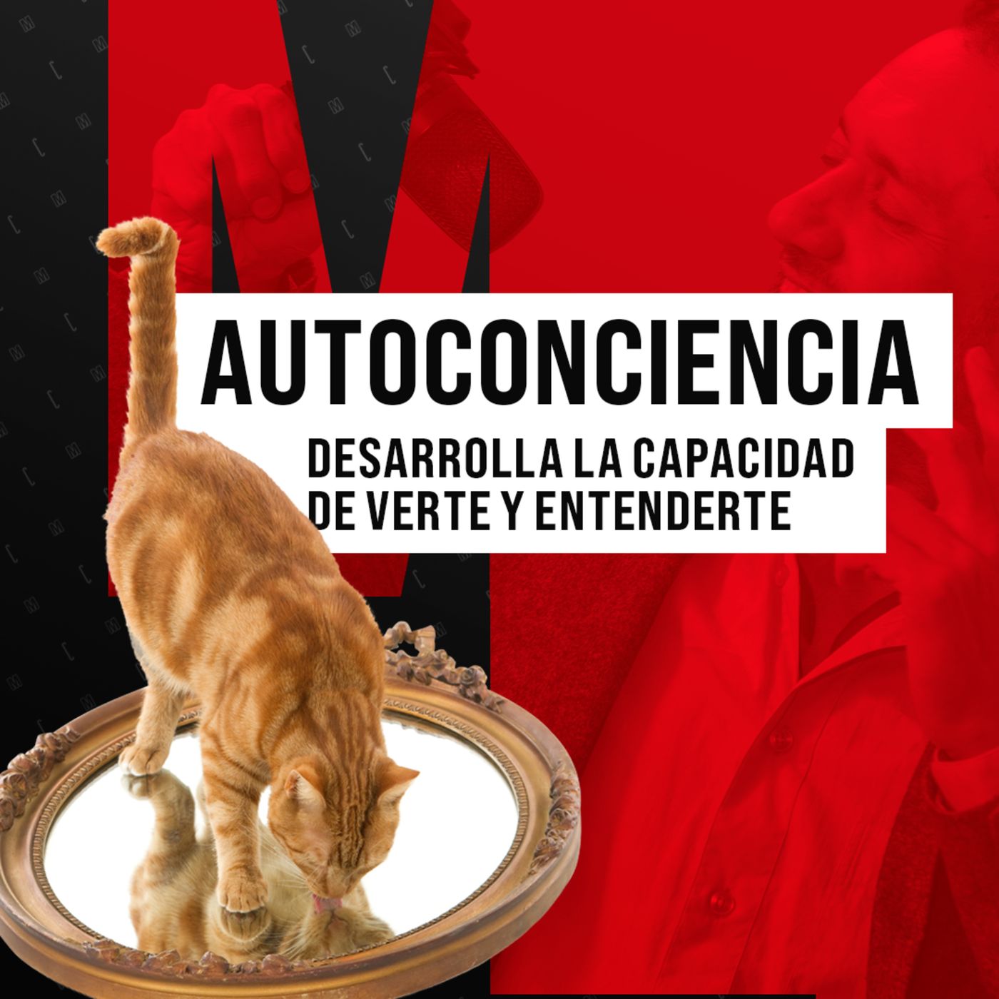 T3. E3 Autoconciencia: Desarrolla la capacidad de verte y entenderte