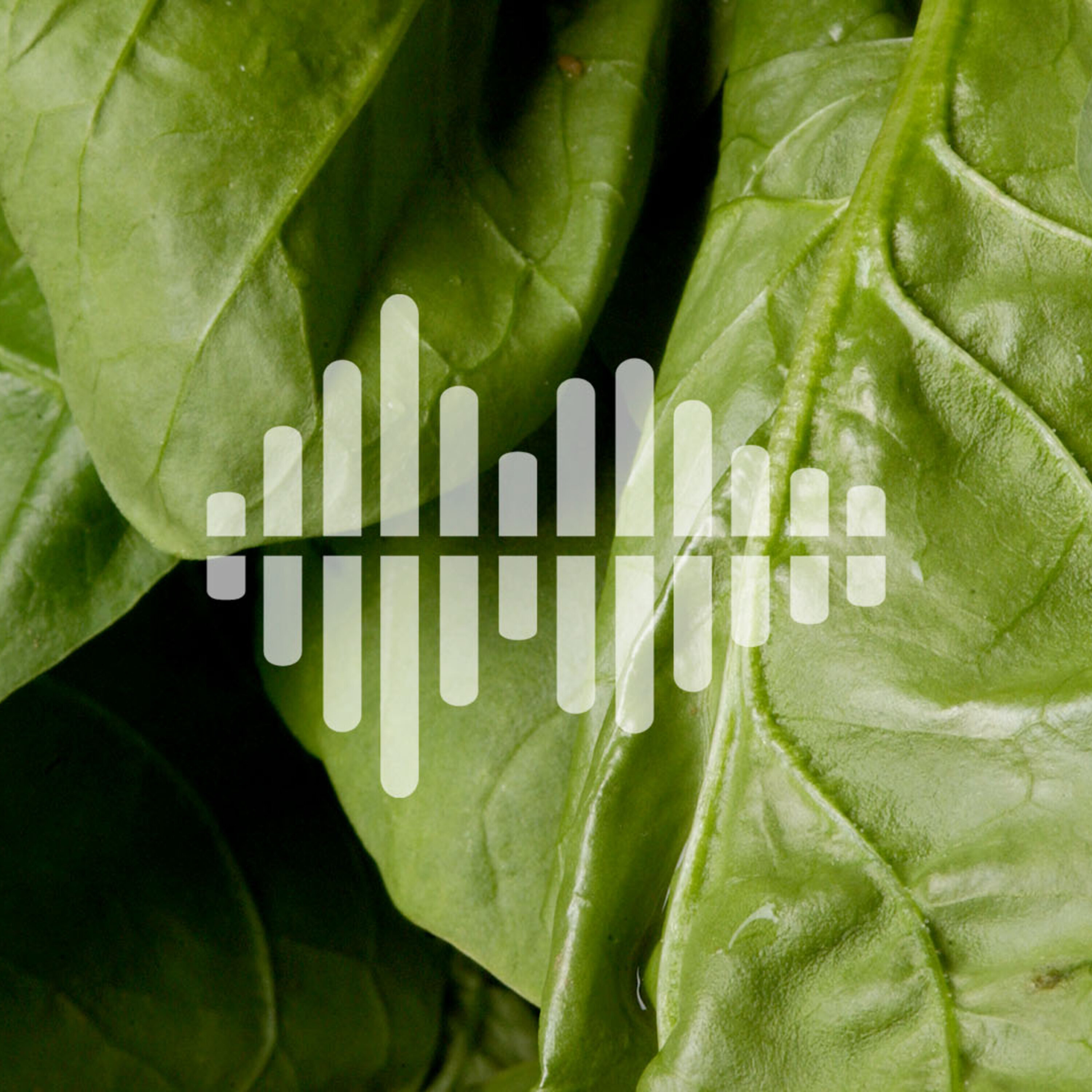 Why men may have more severe COVID-19 symptoms, and using bacteria to track contaminated food