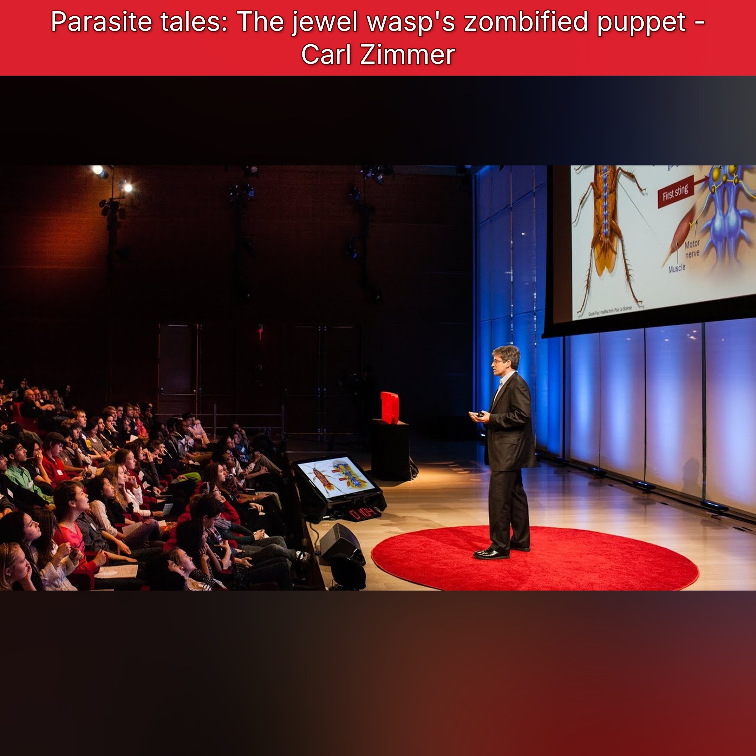 Parasite tales: The jewel wasp's zombified puppet - Carl Zimmer episode artwork