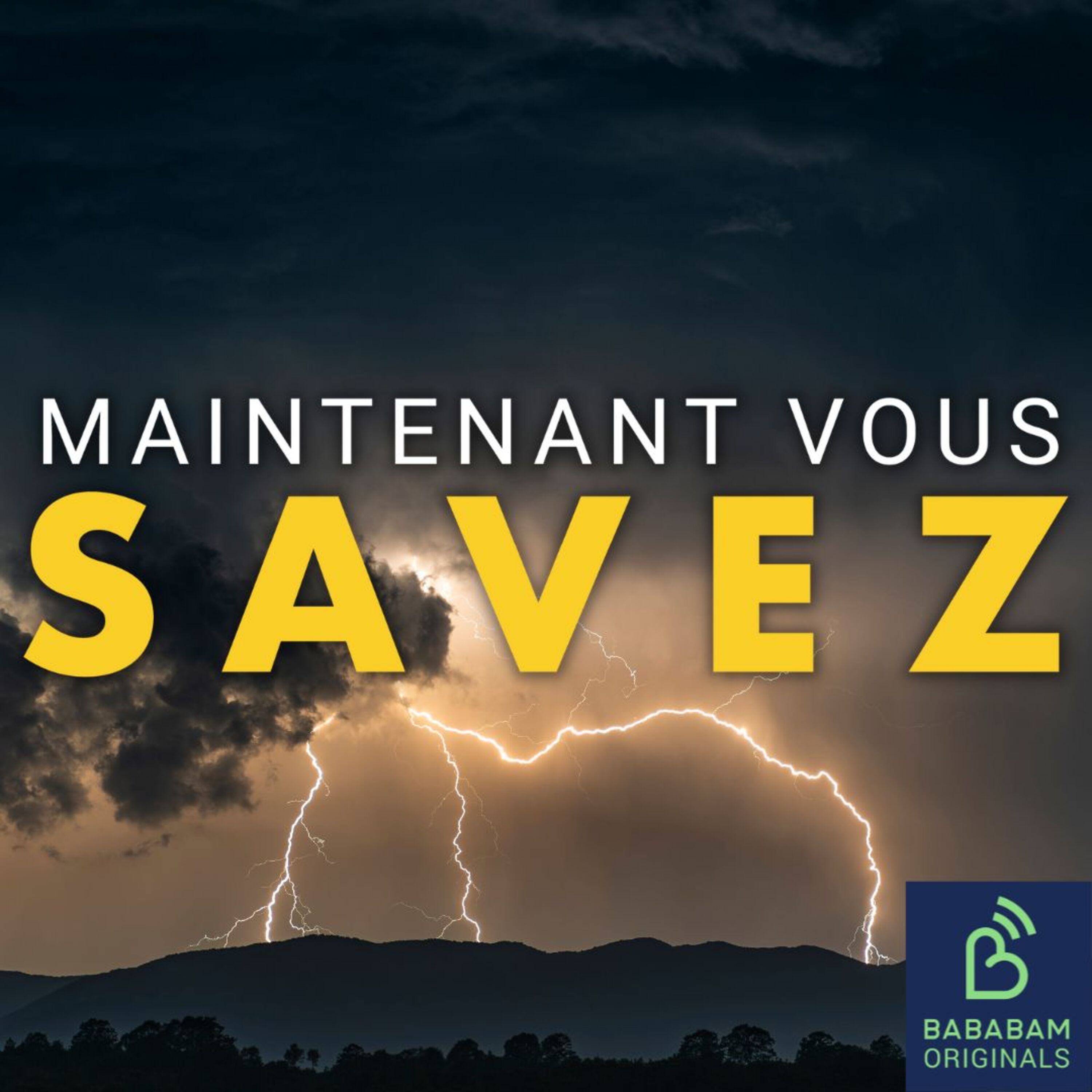 Faut-il couper l’électricité pendant un orage ?