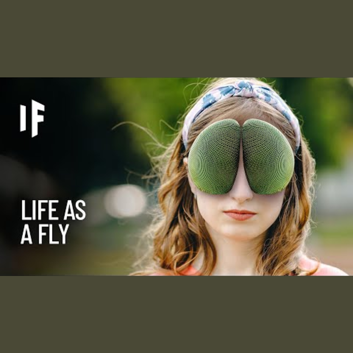 What If You Had Eyes Like a Fly? episode artwork