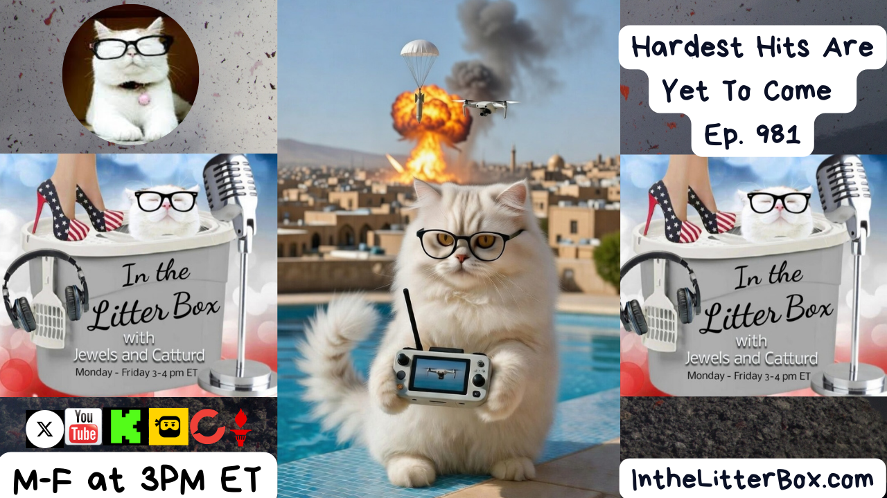 Hardest Hits Are Yet To Come! | In the Litter Box w/ Jewels Jones & Catturd – Ep. 981 – 3/3/2026