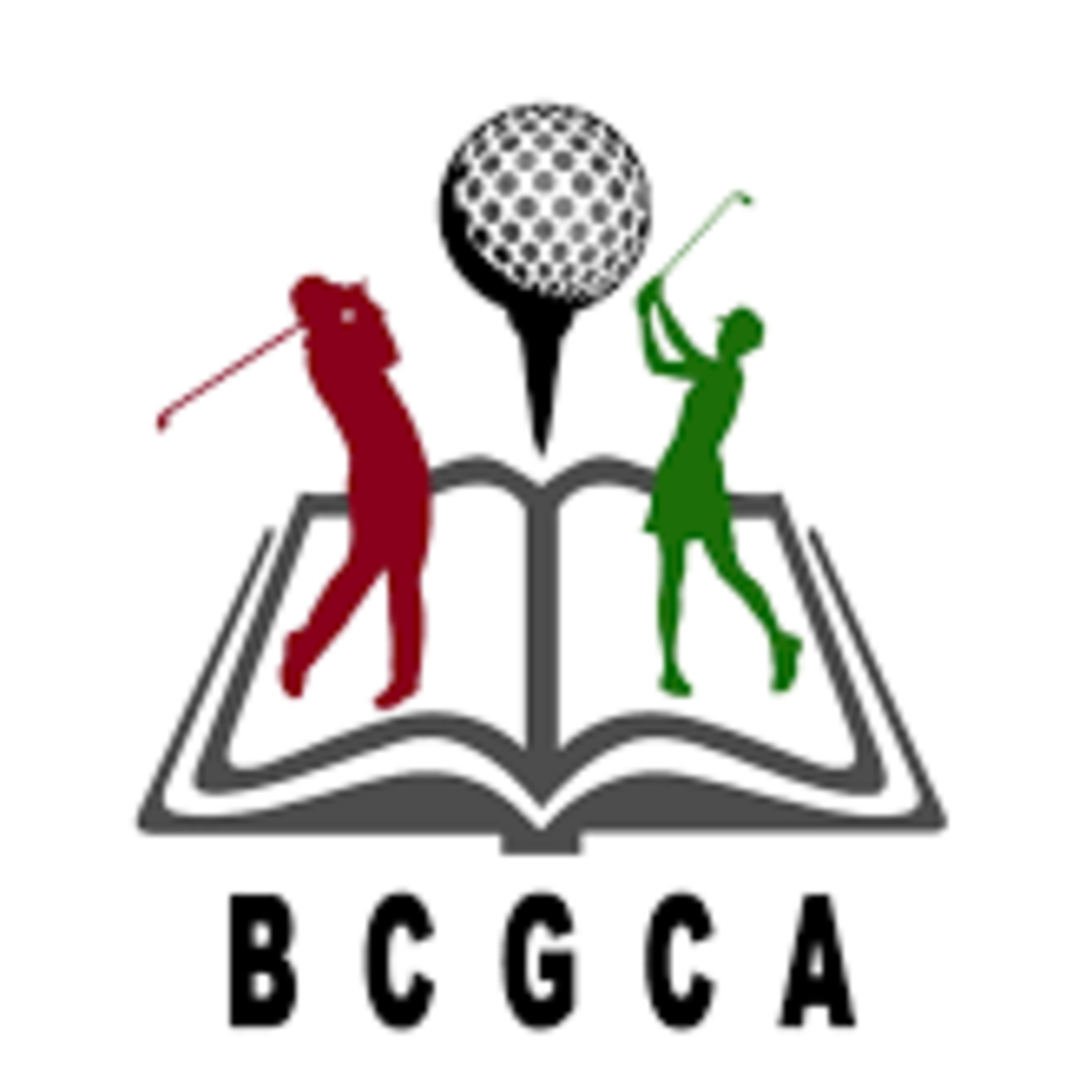 Vol 42 Presents Craig Bowen, President of the BCGCA