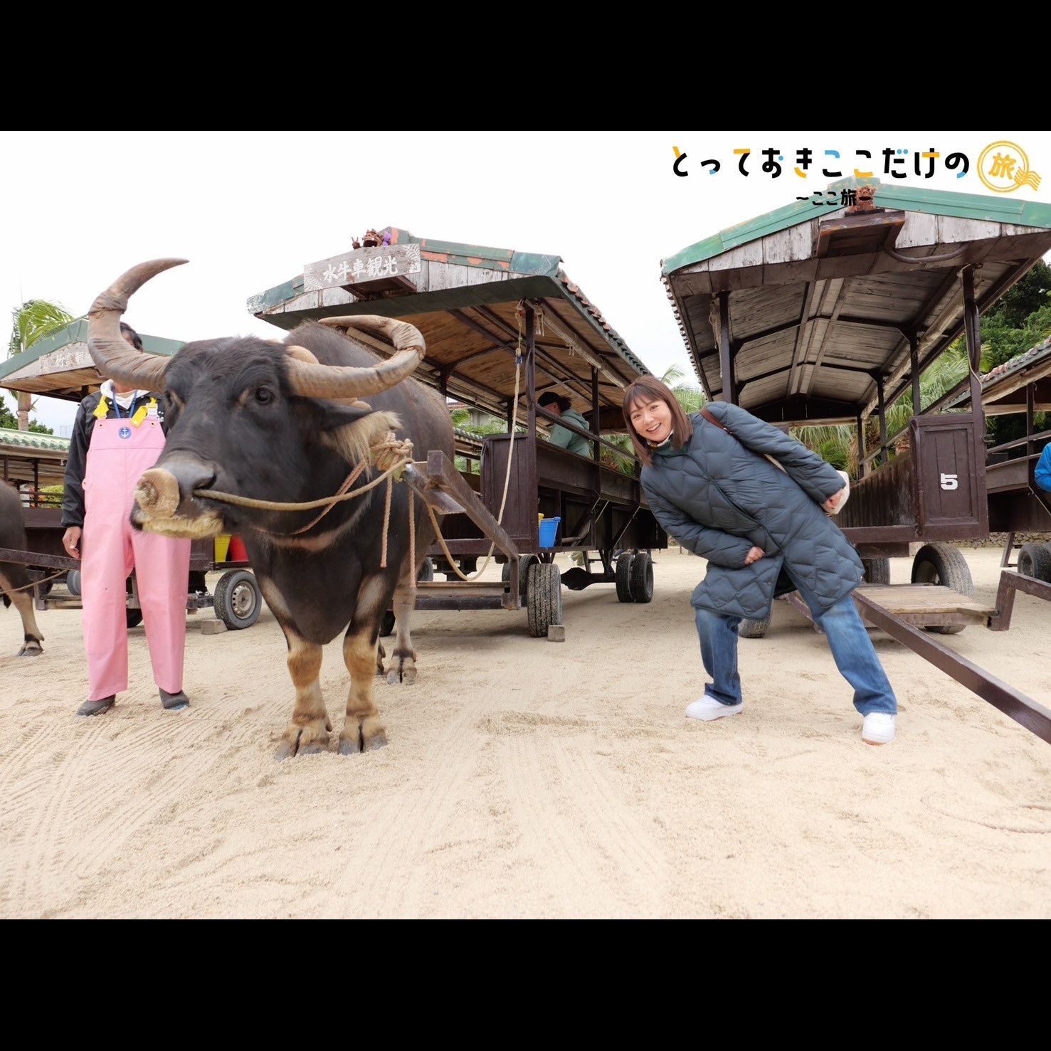 #43 野呂佳代、石垣島と竹富島へ！「とっておきの旅」リポート（後編） episode artwork