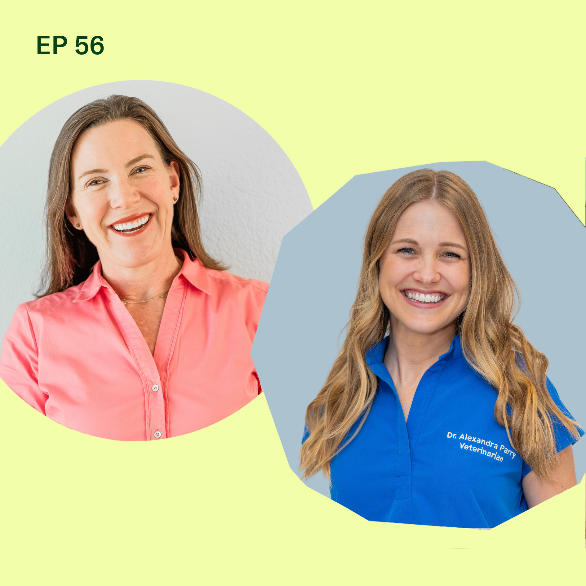 Dog Meets Baby: BLW Do's + Don'ts for the Whole (Furry) Family with Alexandra Parry, DVM