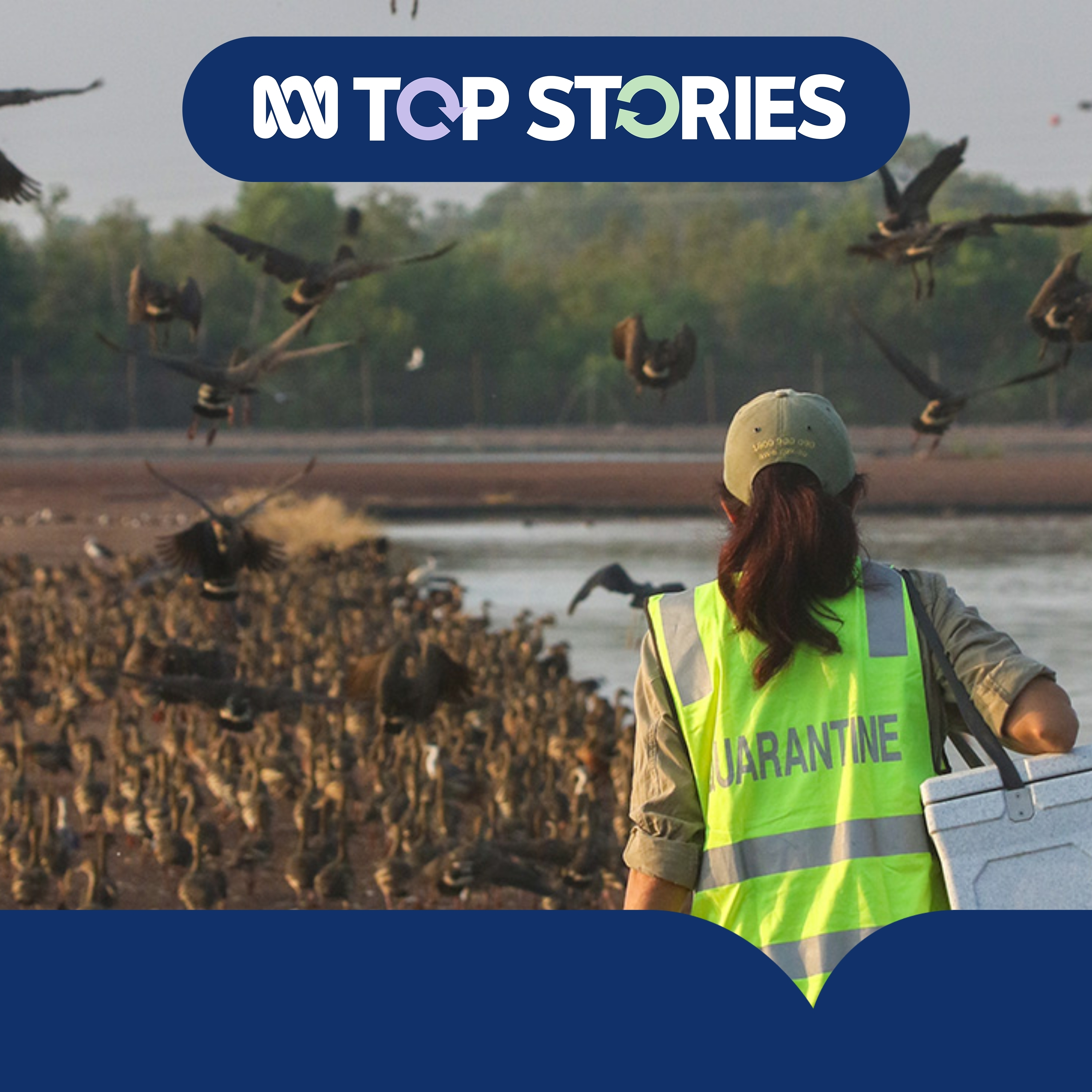 Which animals are at risk amid the global bird flu outbreak? episode artwork