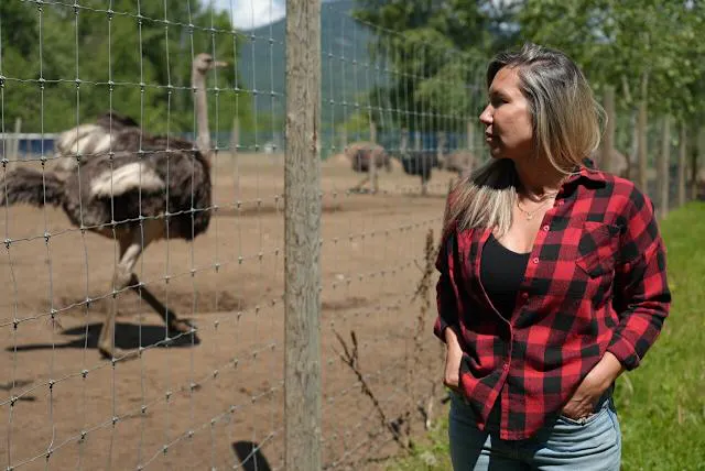 Katie Pasitney: Court Decision looms re Fate of 400 Ostriches episode artwork