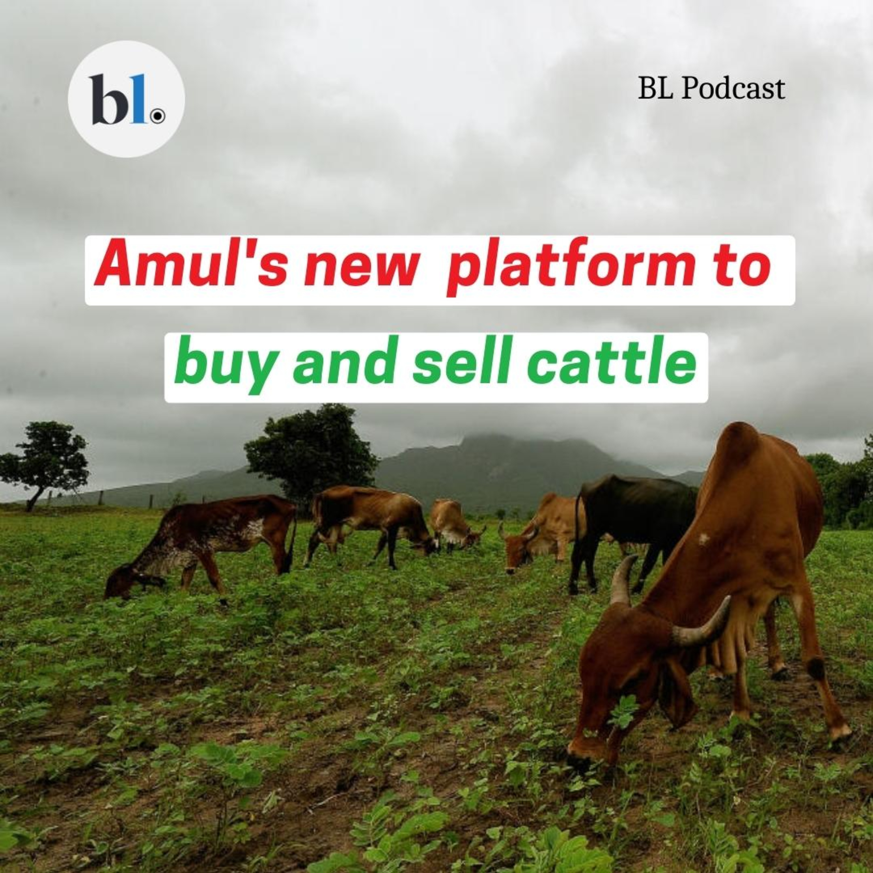 Why Amul is betting big on its new cattle marketplace episode artwork