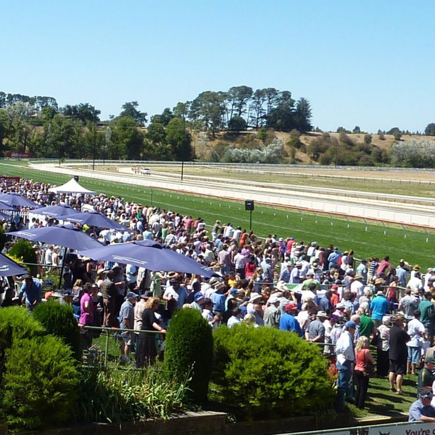 Lisa Evans chats to Andrew Kuuse re #AustraliaDay races at Kyneton RC episode artwork