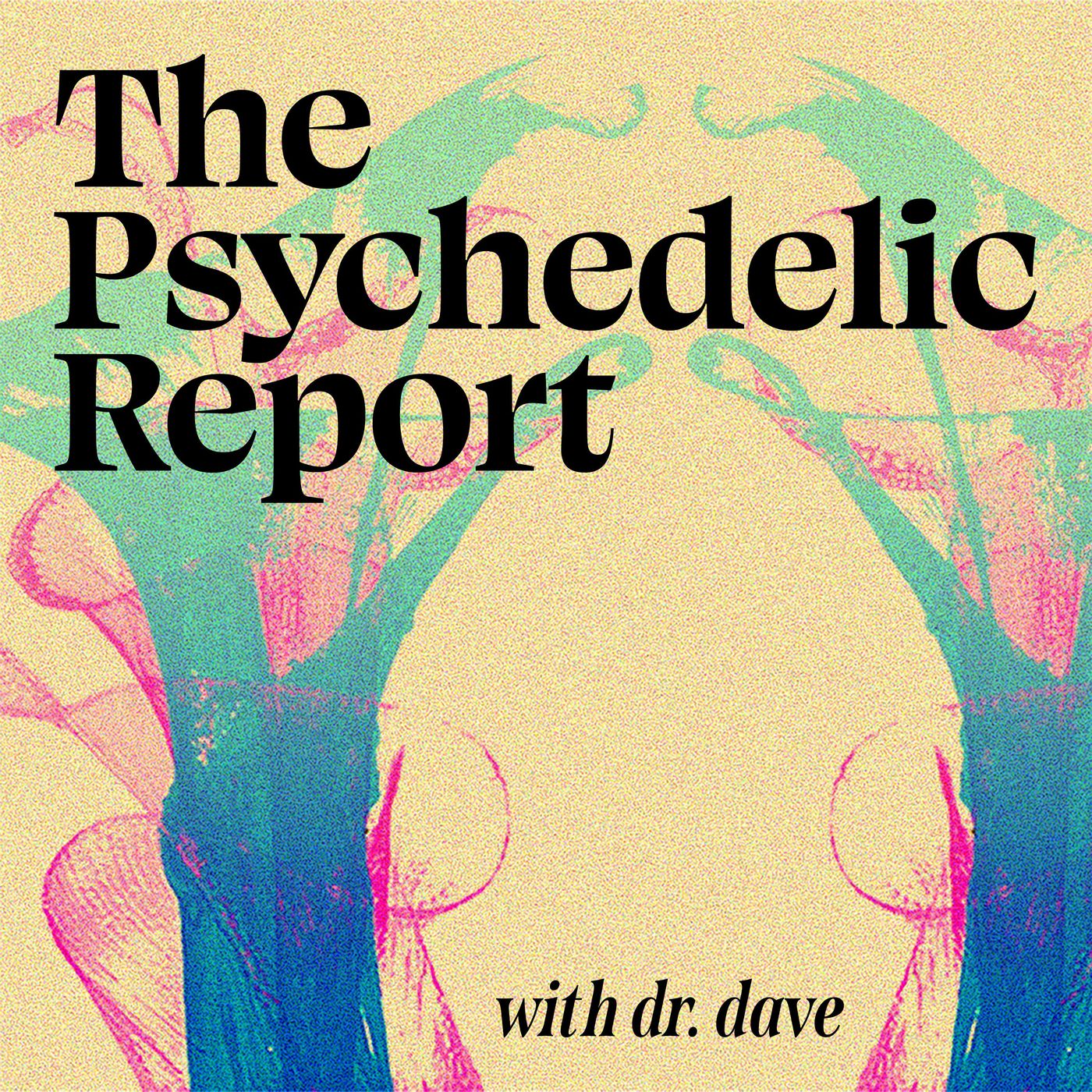 Opening Doors for Research with Dr. Pam Kryskow and Dr. Zach Walsh — The Psychedelic Report