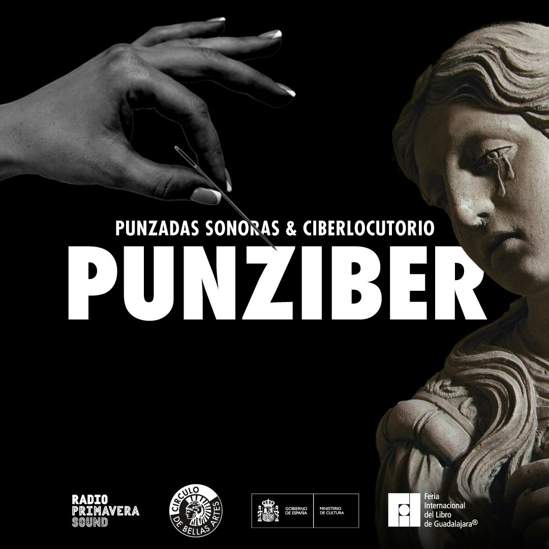 Punziber: ¿Hay alguien ahí? Punziber: ¿Hay alguien ahí?