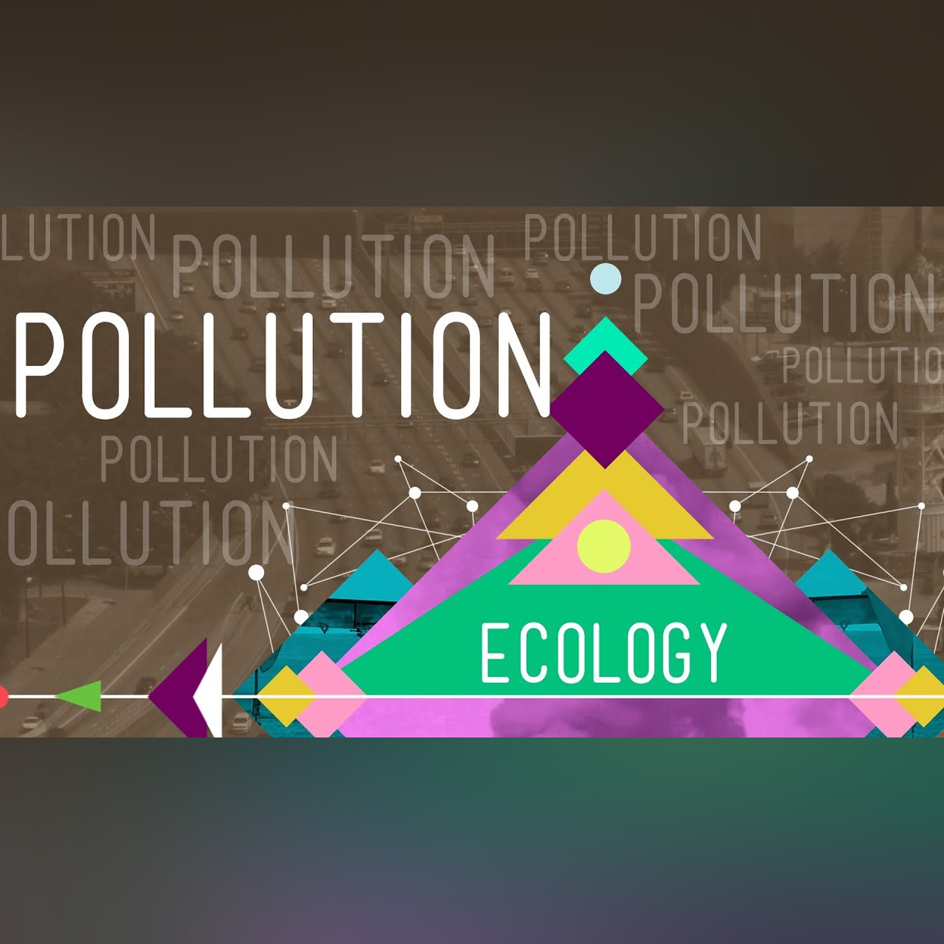 Pollution: Crash Course Ecology #11