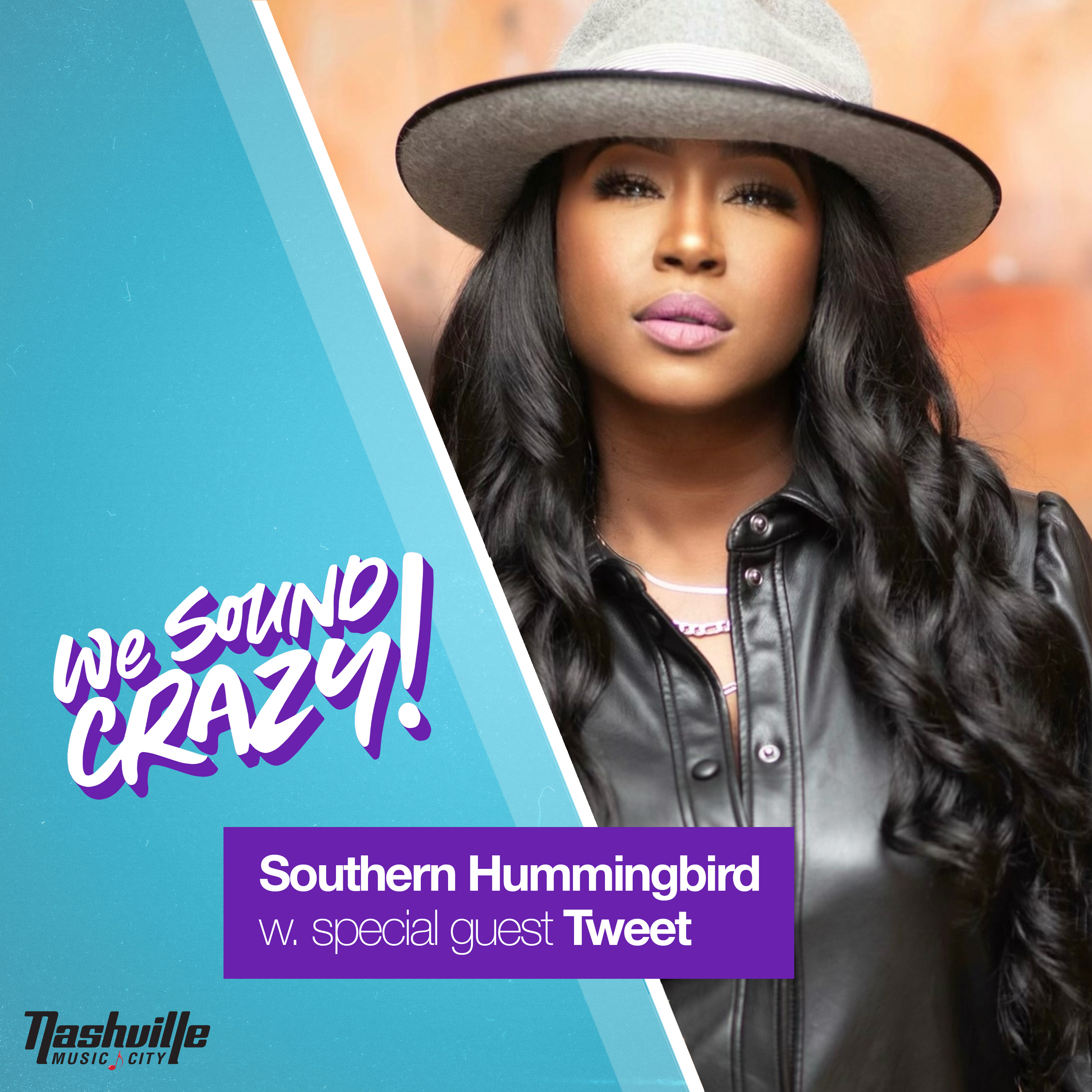 Southern Hummingbird w. special guest Tweet episode artwork
